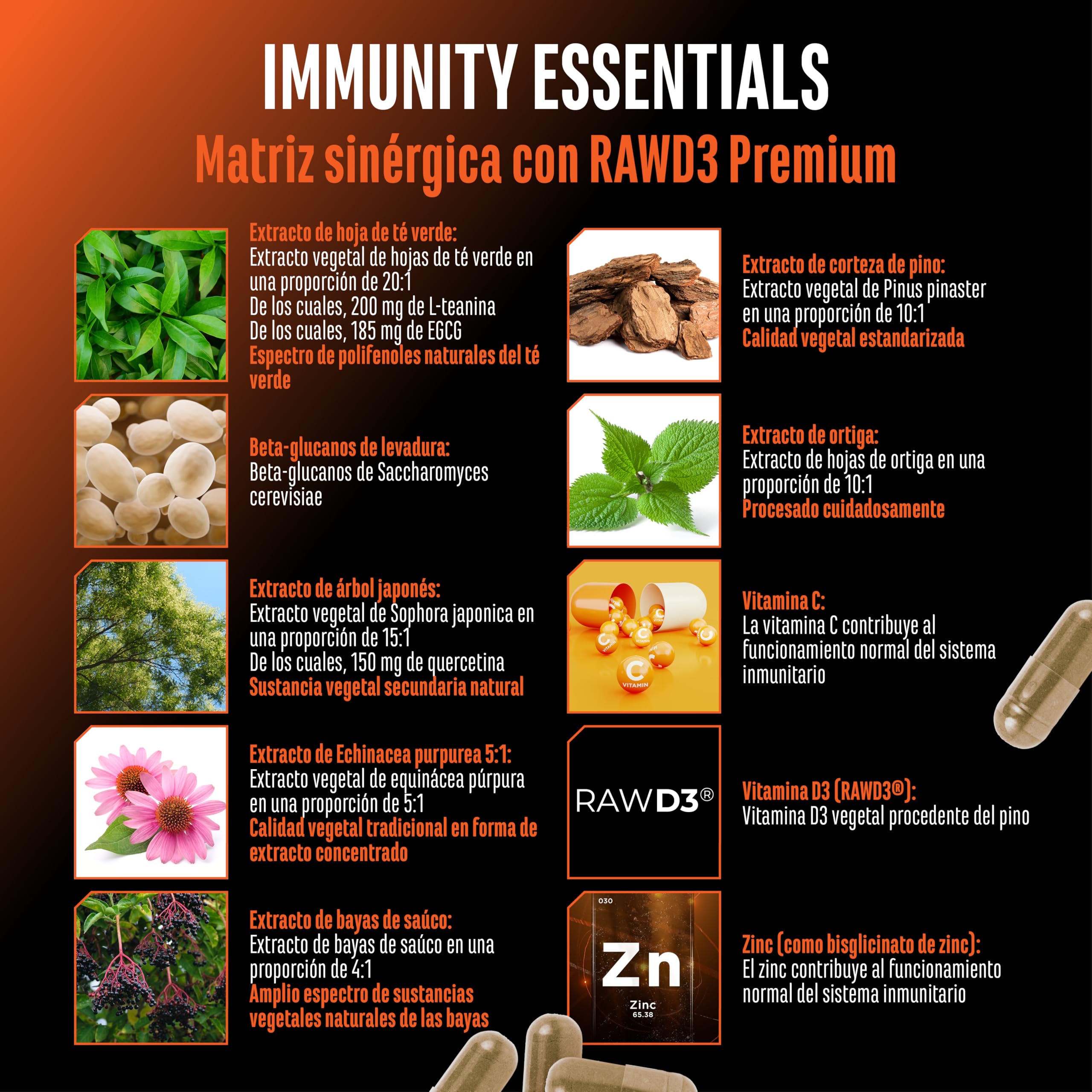 Immunity Essentials Complejo – 180 cápsulas con beta-glucano, vitamina C, D3 (RAWD3®), zinc, quercetina, equinácea, saúco y extractos vegetales – alta dosis, vegano
