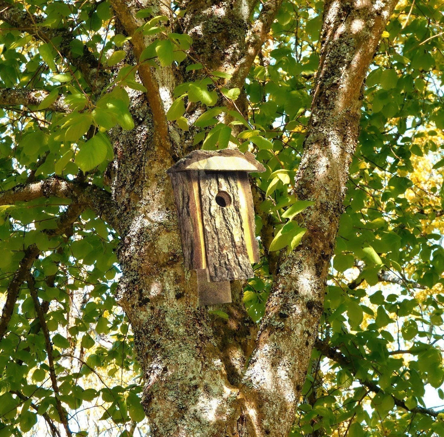 Best Wooden Birdhouse, Durable, Outside Decorative House for Birds Made By Amish Artists, Traditional Natural Looking Pine To Attract Birds, Very Unique Bird House, Handmade Wooden Design Bird Houses