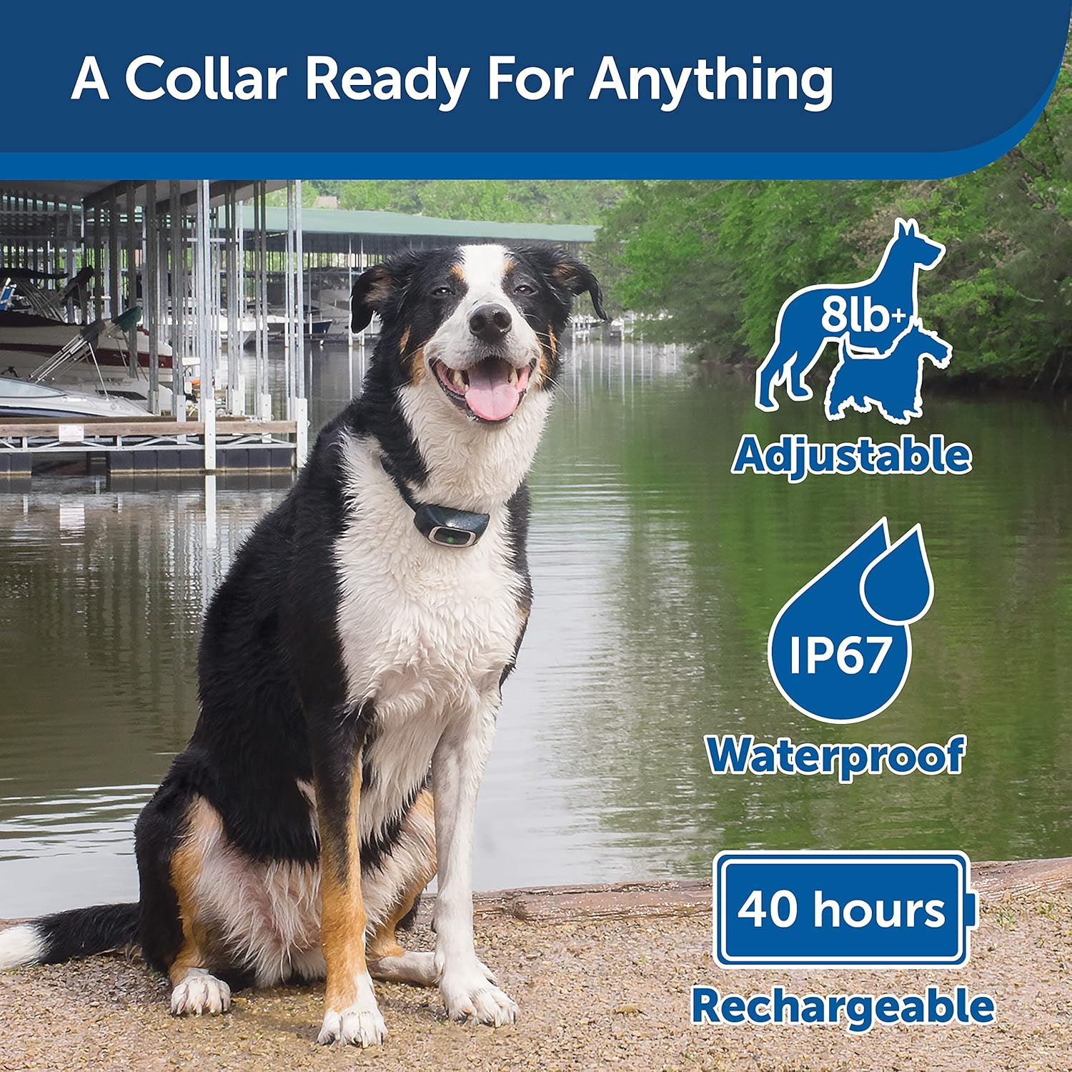 A dog sitting by water, with icons indicating the collar is adjustable for dogs 8lb+, IP67 waterproof, and offers 40 hours of rechargeable battery life.