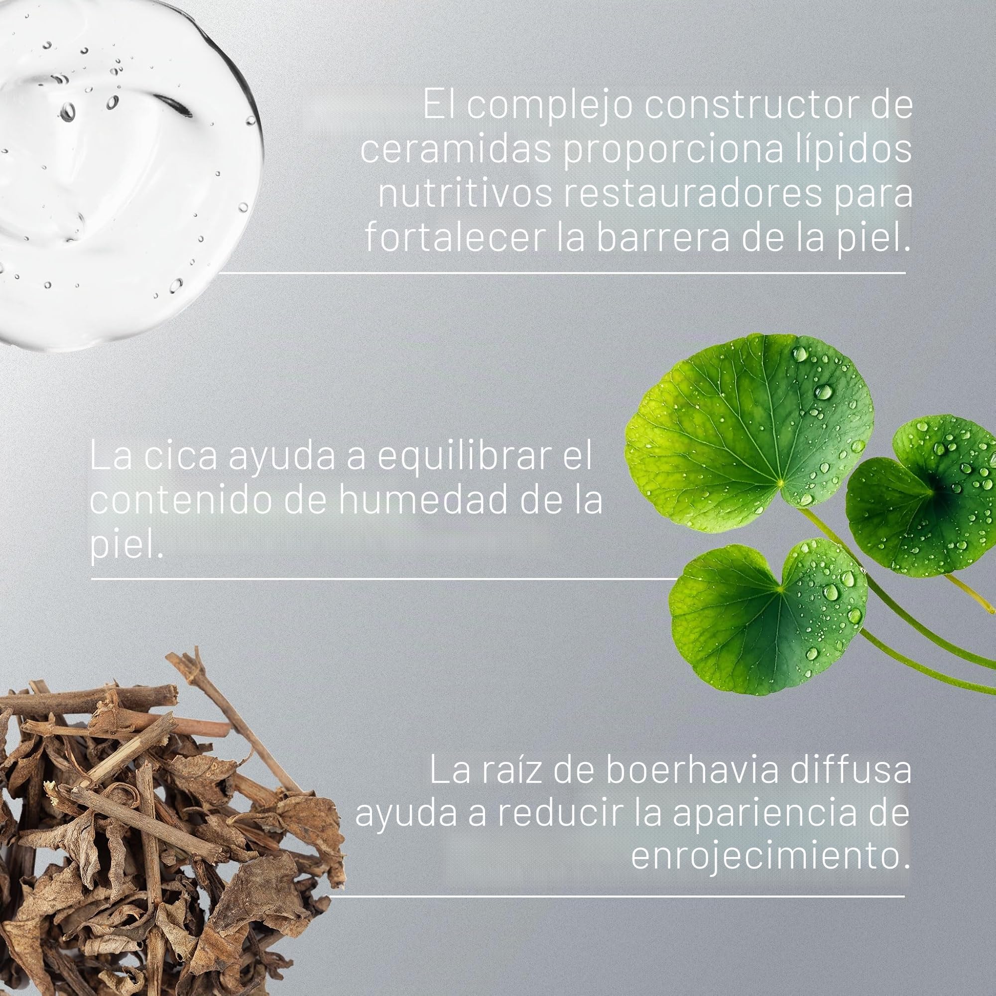 Dermalogica Stabilizing Repair Cream para Piel Sensible 50ml | Crema facial con cica que calma las pieles sensibles y ayuda a reforzar la barrera cutánea.