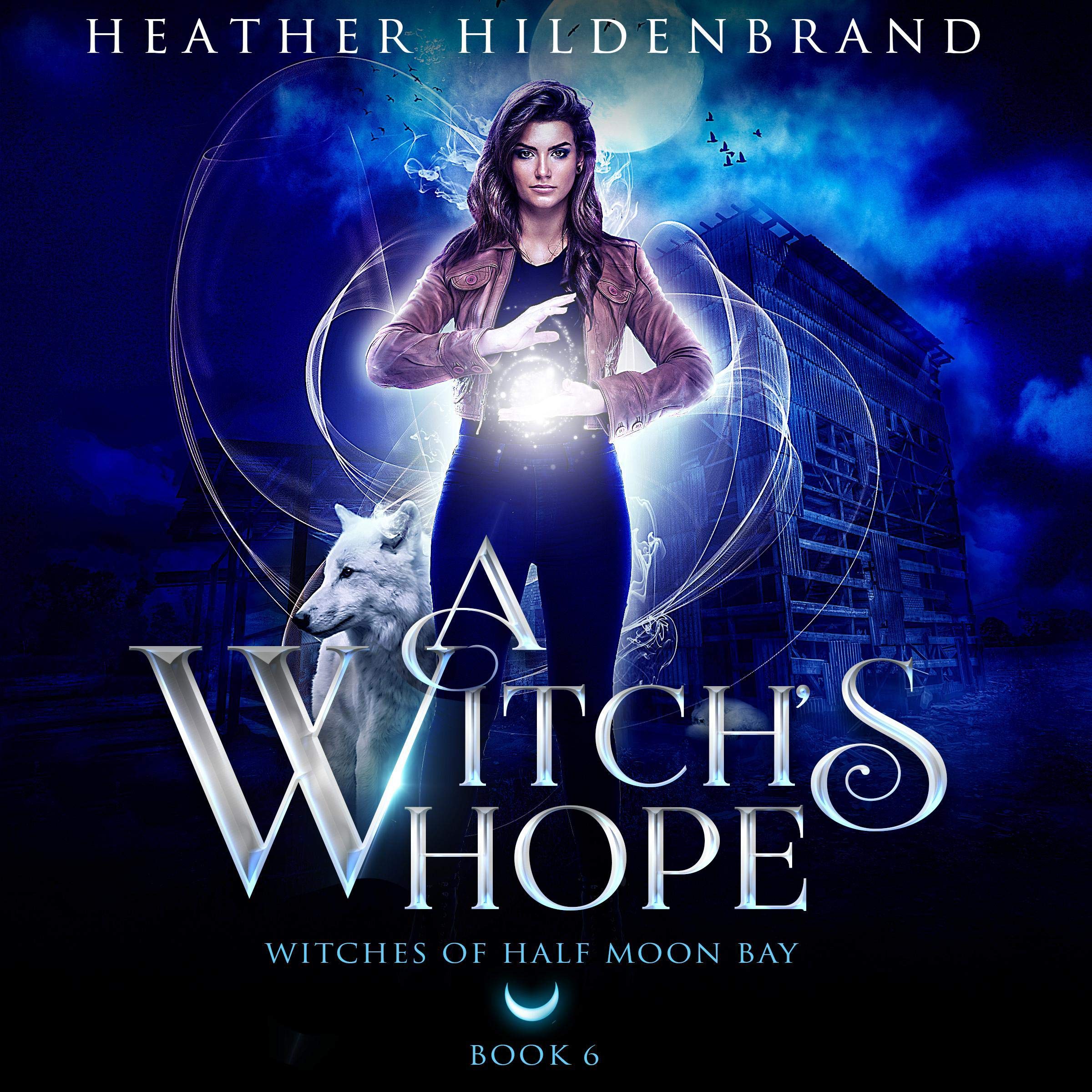 Cover art for A Witch's Hope, book #6