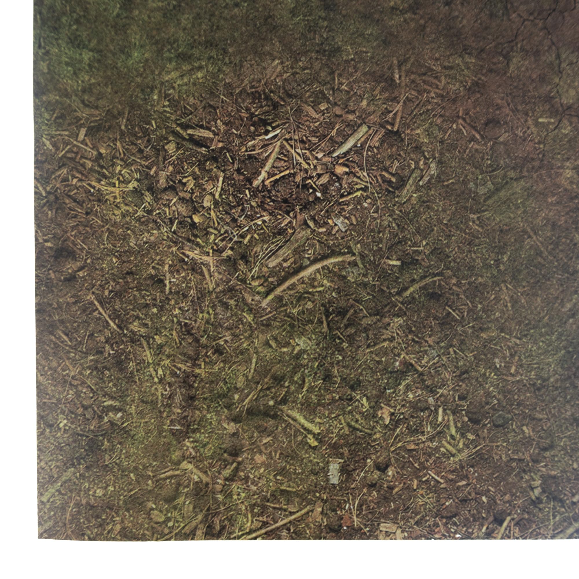Tappetino per Wargaming compatibile con Warhammer: Old World - 122 x 183 cm - Palude