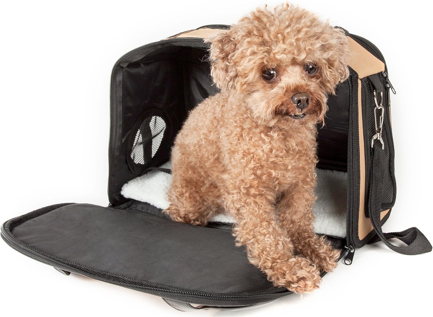PET LIFE 'Mystique' Airline Approved Fashion Designer Travel Pet Dog Carrier, One Size, Black : Pet Supplies
