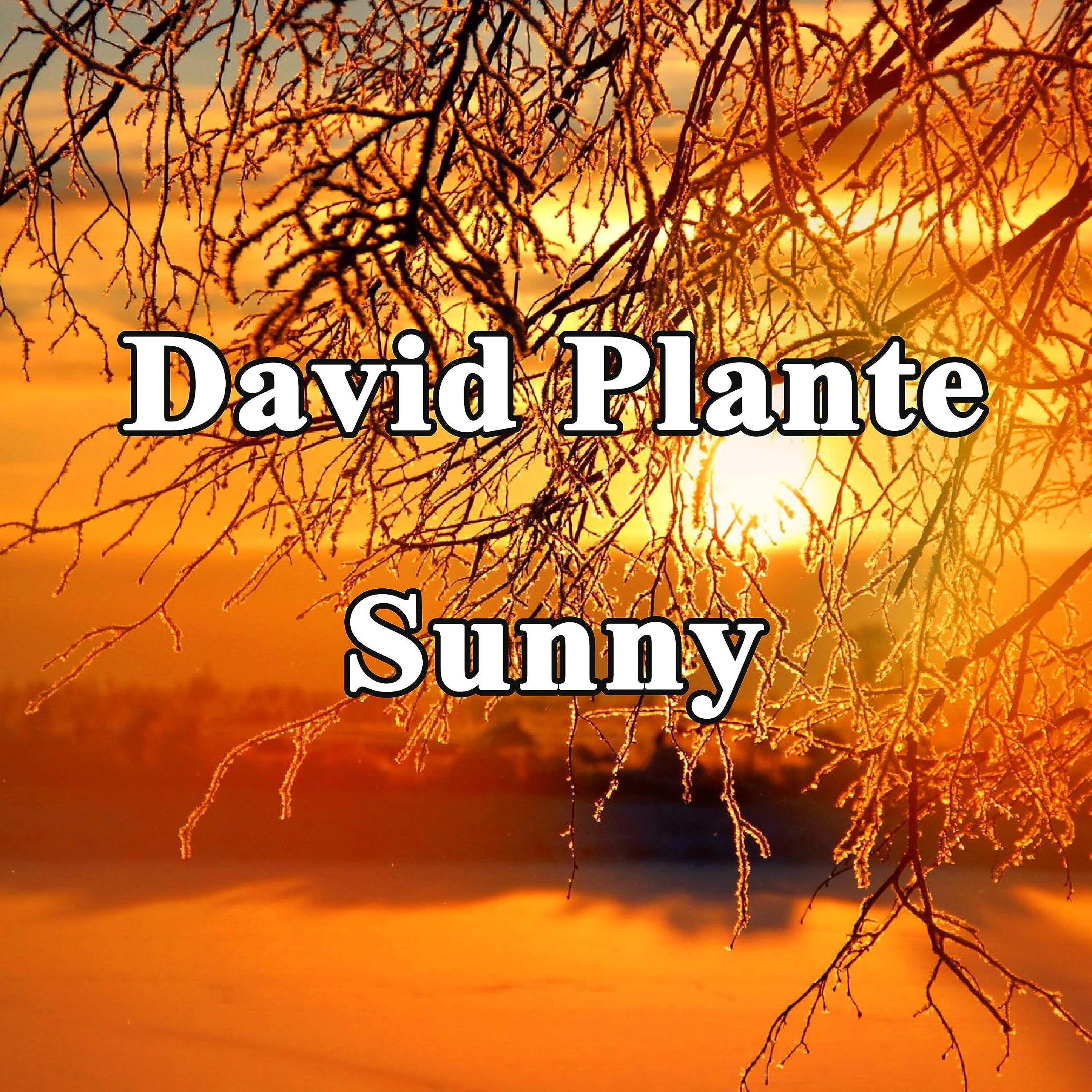 David Plante