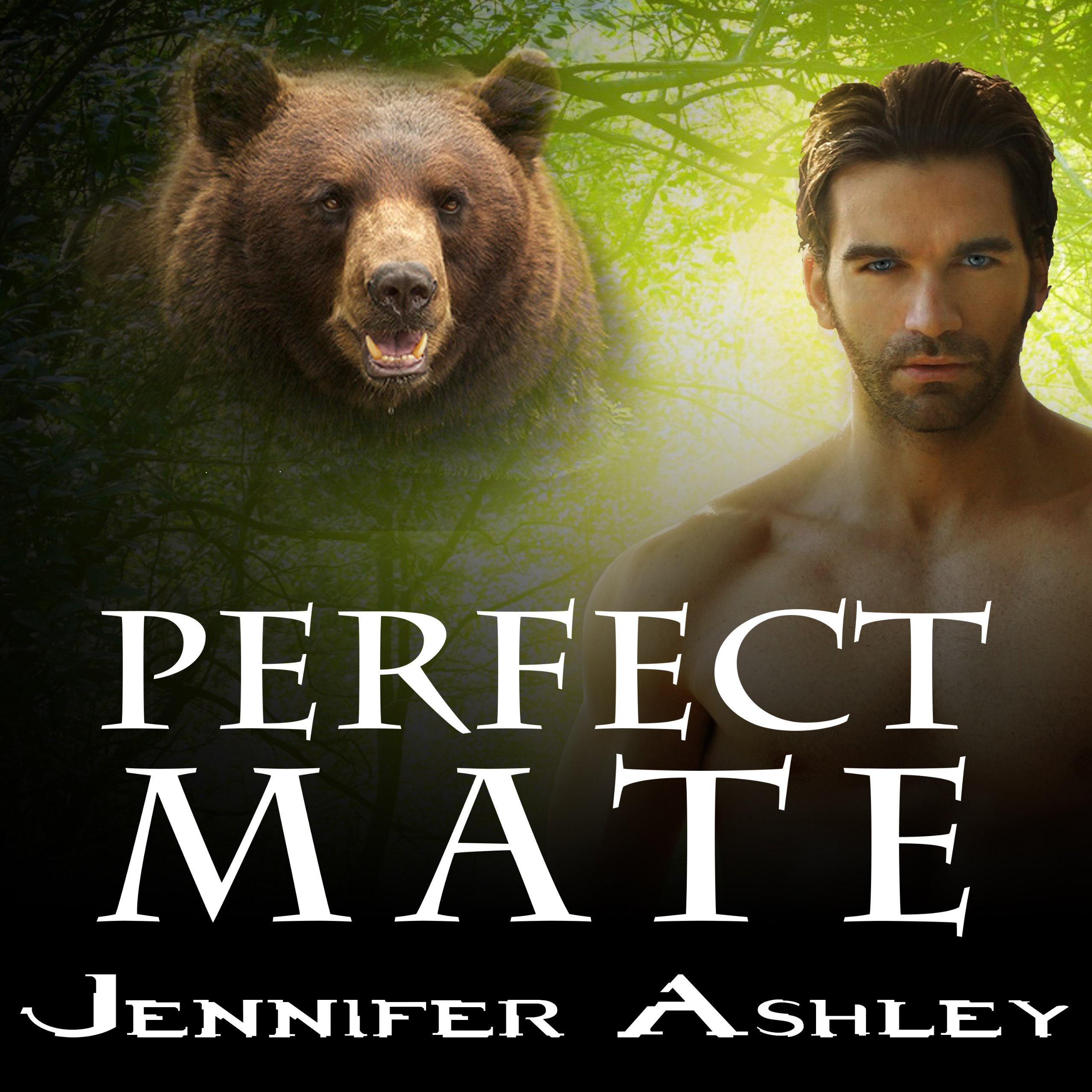 Cover art for Perfect Mate