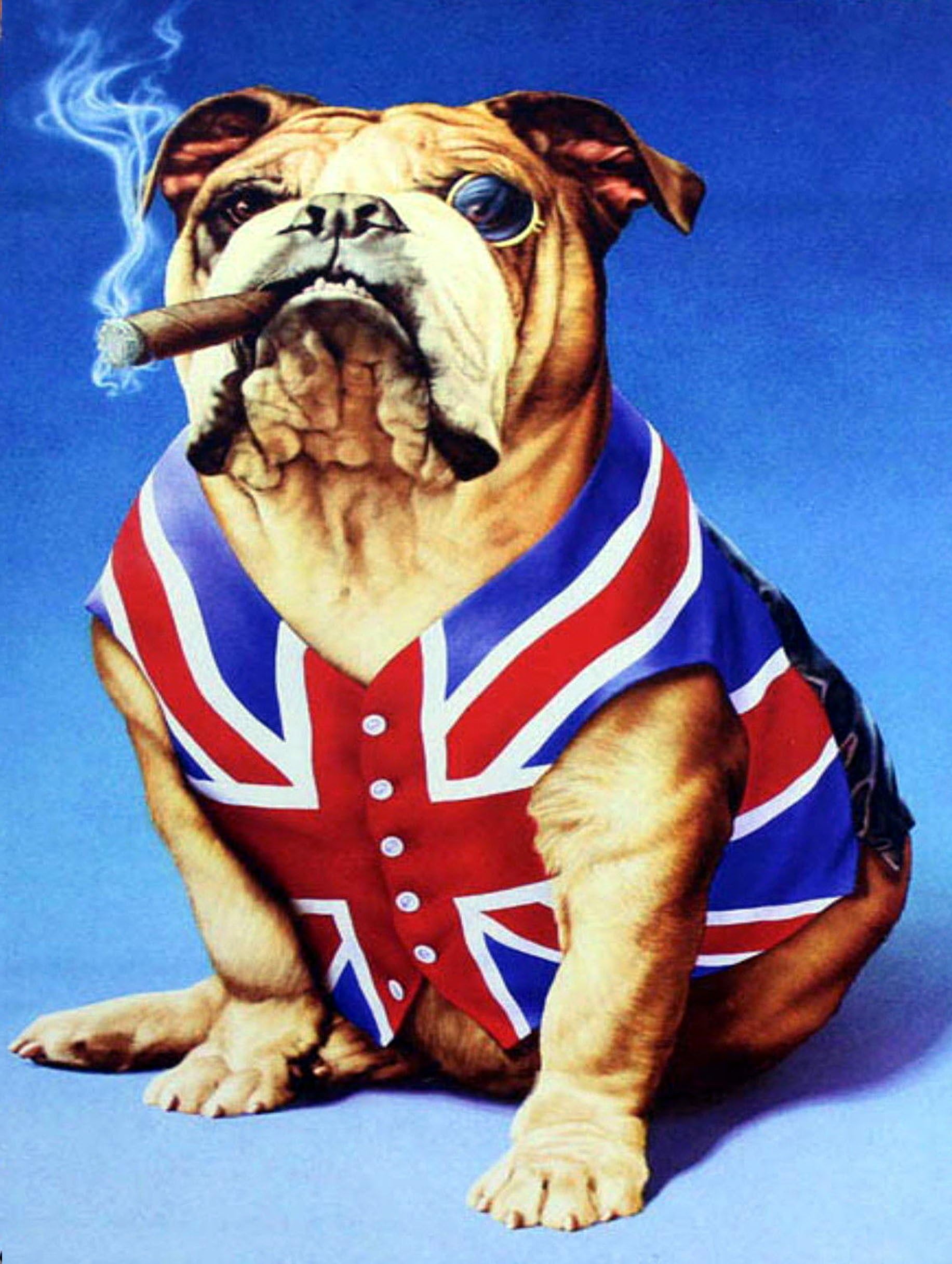 bulldog union jack british, Retro metal Aluminium Sign vintage bar pub man cave (150MM X 200MM (6" X 8"))