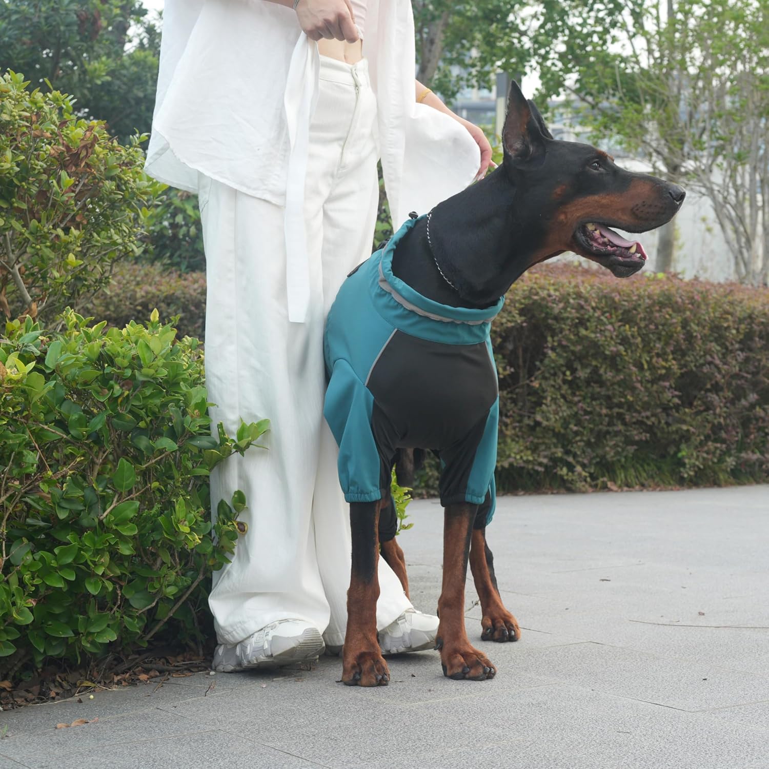 Winter Waterproof Dog Snowsuit – Full Body Outdoor Jacket with Leash Ring, Fleece Lining, Windproof Reflective 4-Leg Dog Coat for Small to Large Dogs Teal Blue XXS