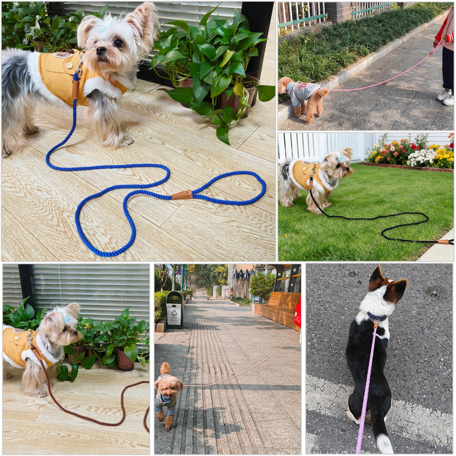 Laisse rose de 1,5 m pour petits chiens – Laisse légère et douce en coton tressé de 0,6 cm pour petites races/chats, promenades quotidiennes, dressage