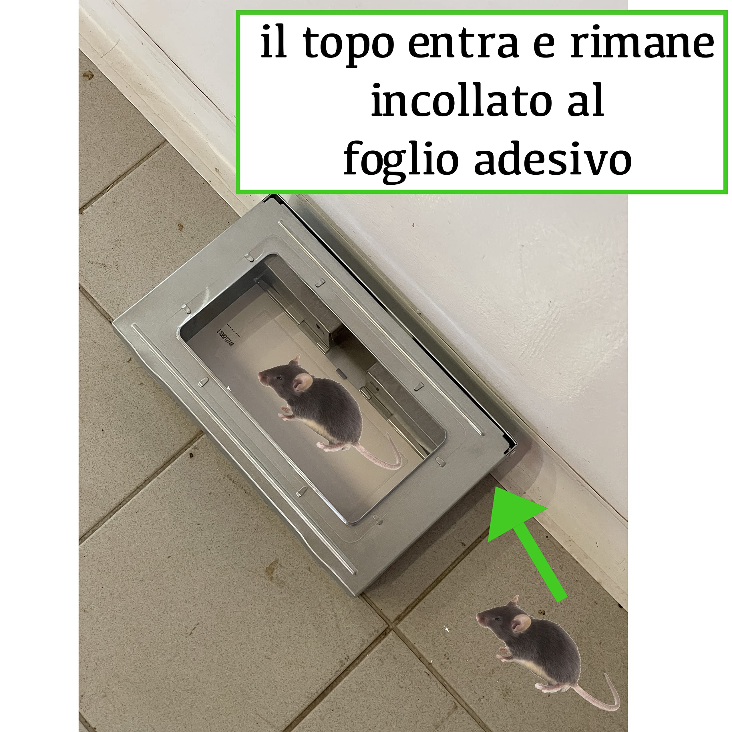 Trappola Adesiva per Topi, 10 Fogli con Colla per Topi in Regalo, Scatola in Acciaio Resistente, Metodo a Cattura, Uso Domestico e Professionale, Trappole a Norma HACCP (1)