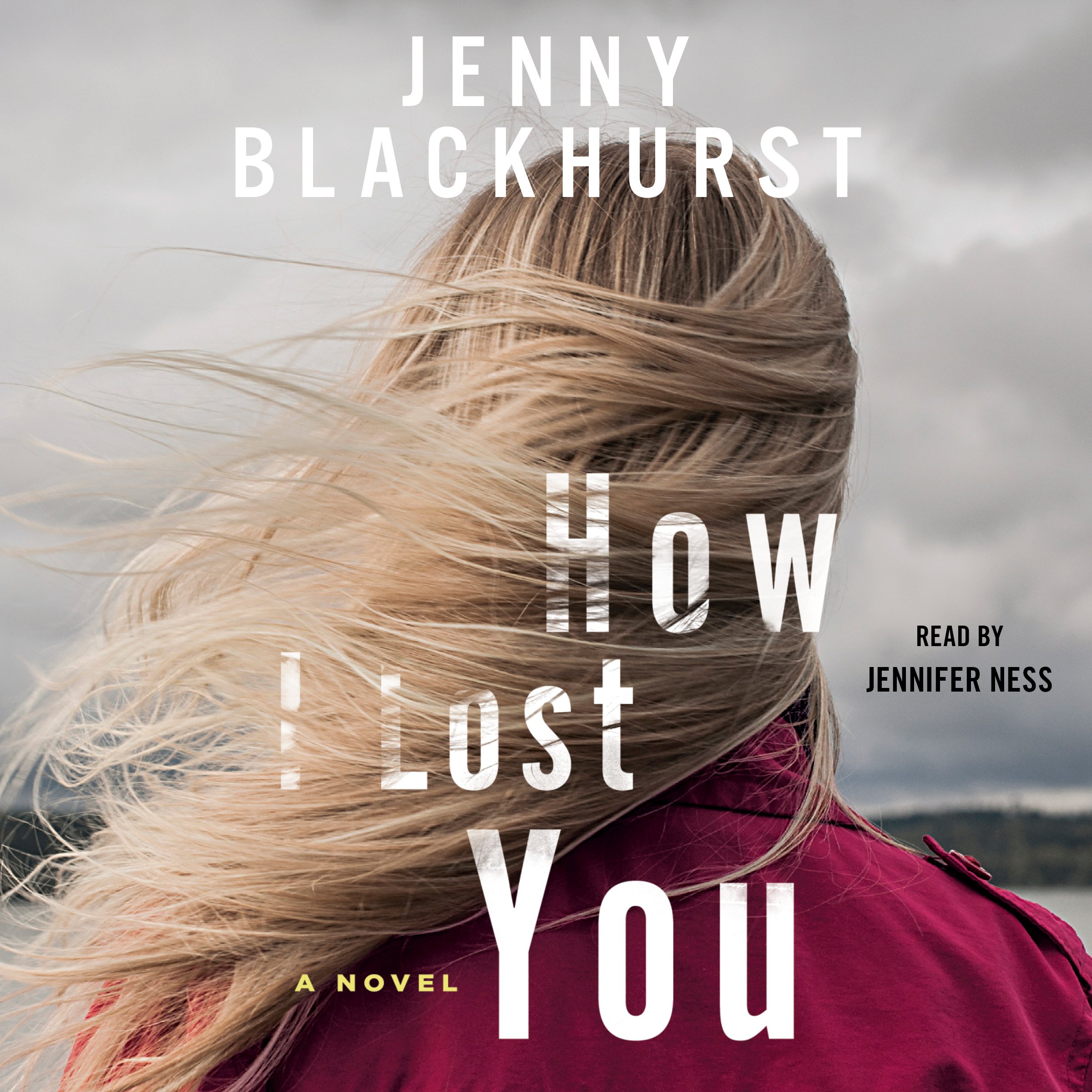 Cover art for How I Lost You