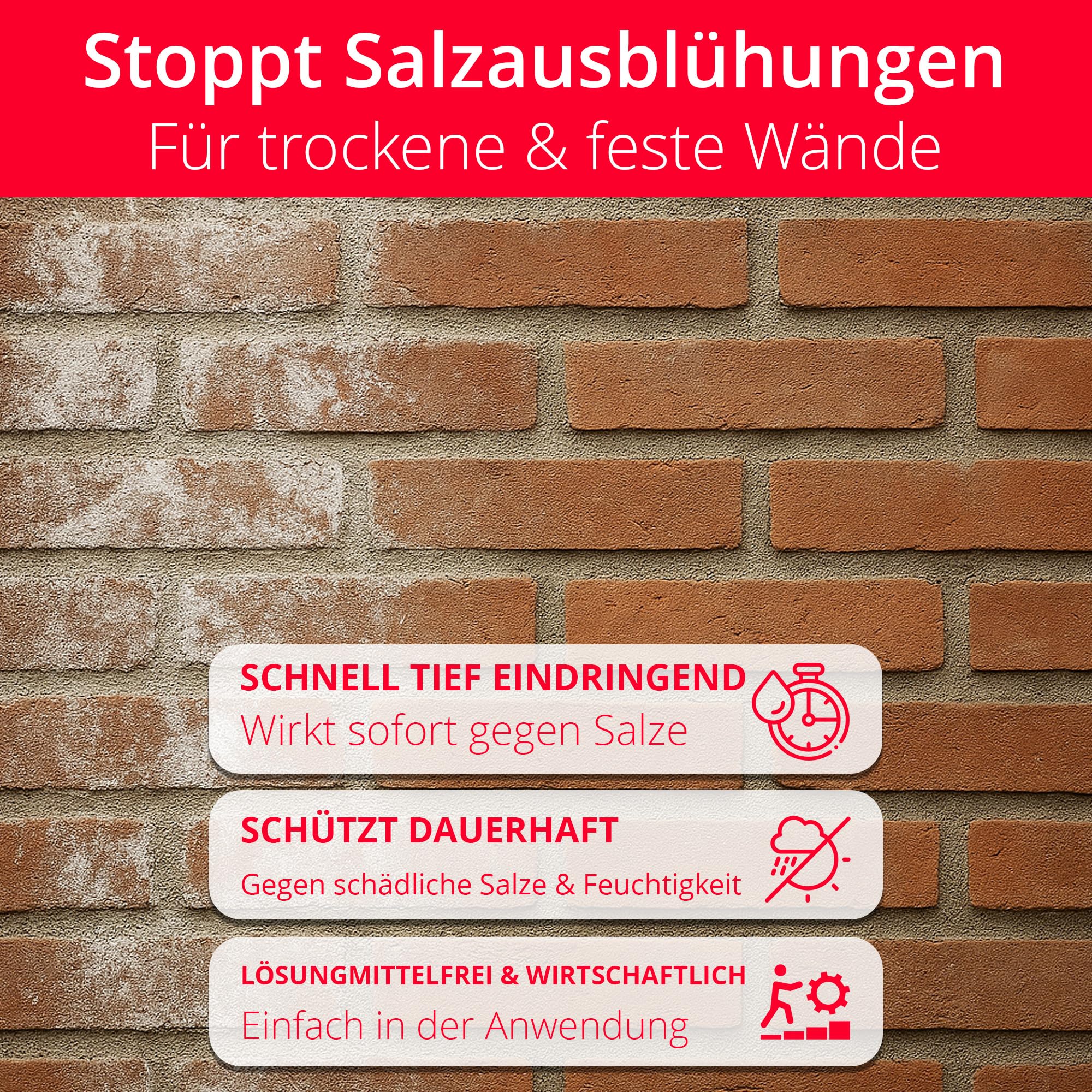 BORNIT Antisulfat Tiefengrund Grundierung bei Ausblühungen für ca.100m² | [tiefes Eindringen] Steinimprägnierung außen Salpeterentferner Tiefengrund Mörtel Kalkputz Feinsteinzeug Imprägnierung Wand