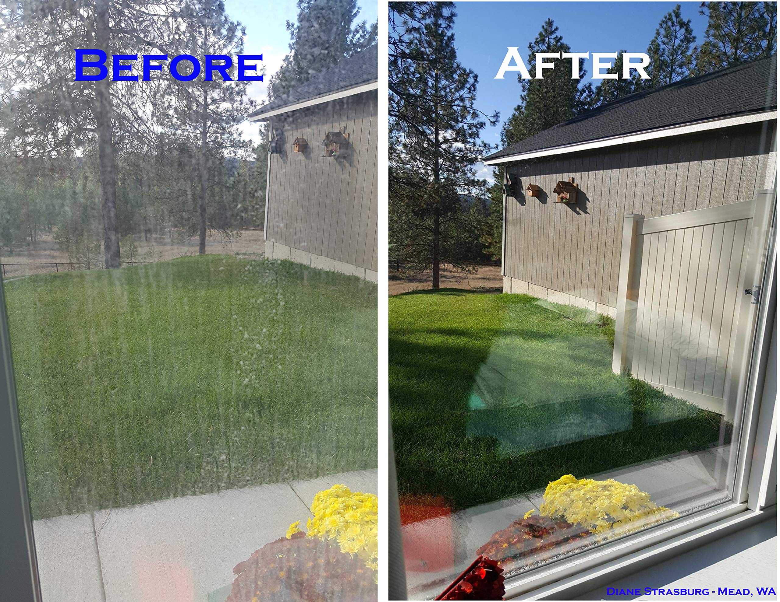 Scum Off Shower Cleaner for Hard Water, 16 fl.oz, Cleans Fiberglass, Tile, Grout, Stone