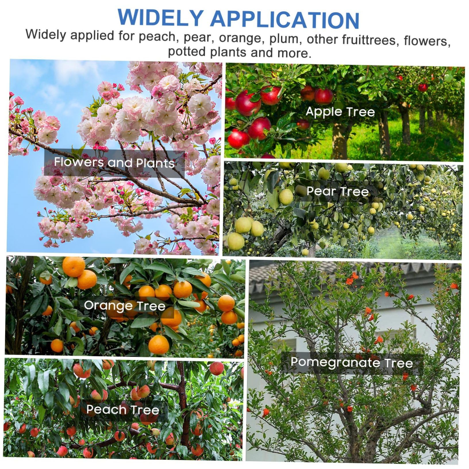 Toddmomy Baumzweigspreizer Und Astverteiler Für Obstbäume Gartenzweigklemmen Aus Kaltverzinktem Draht Baumformungswerkzeug Pflanzenausrichtung Und Wasserverteilung