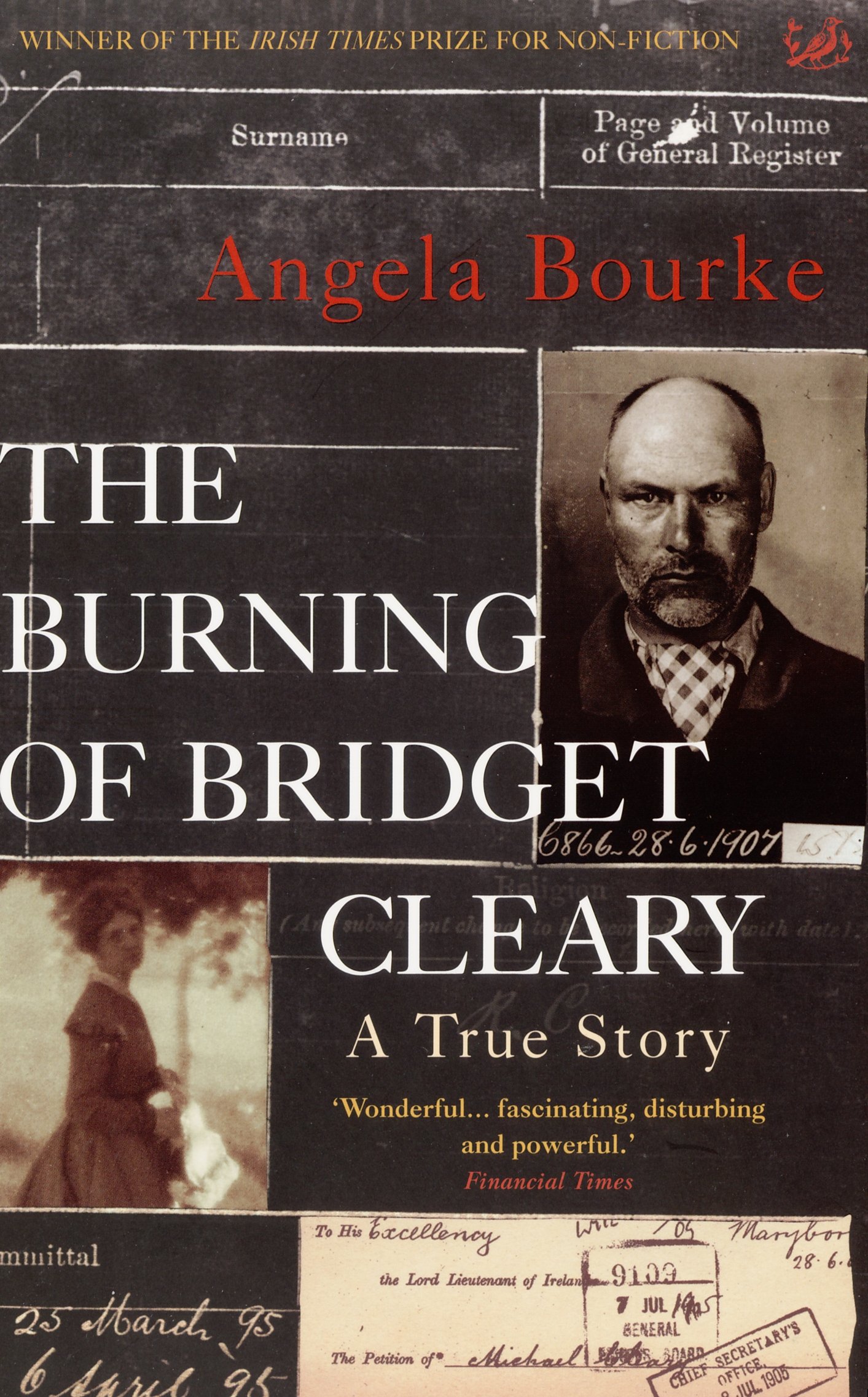 The Burning Of Bridget Cleary: A True Story