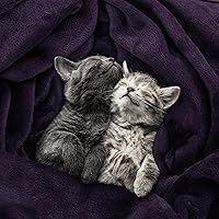 Vista 152 de Utopia Bedding - Manta de vellón de lujo, mullida, antiestática; manta de suave microfibra de 8.8 oz/yd² (300 g/m²) para cama; tamaño individual