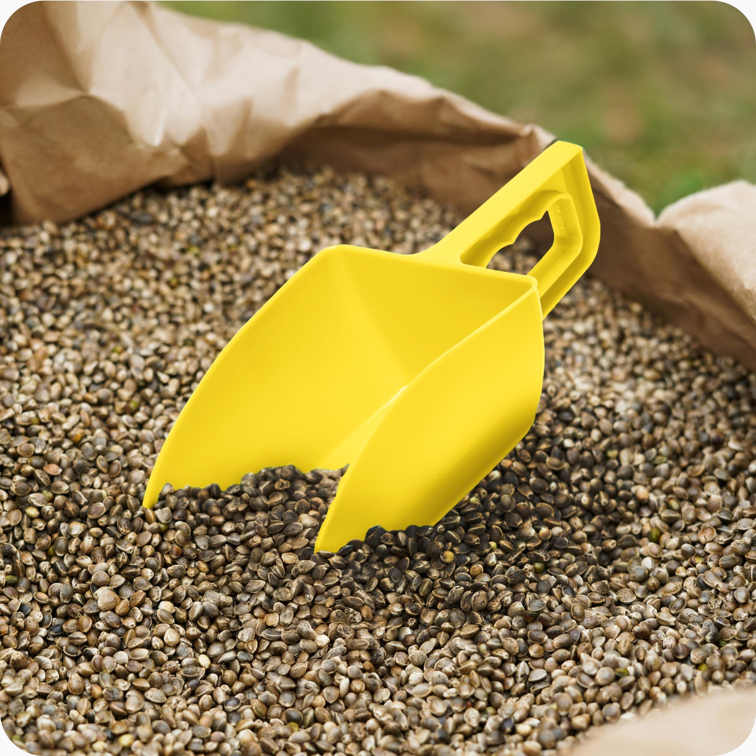 Garronda Sessola in plastica robusta 1 kg per mangimi animali, cereali, semi – Misurino largo da alimentazione animali, paletta dosatrice ideale nei sacchi GD-0153 (Giallo)