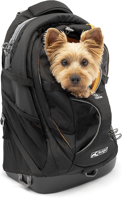 Kurgo ZCR30-17136 Plecak do Transportu Psów i Kotów, do 11kg, Czarny/Pomarańczowy