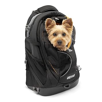 Kurgo Dog Carrier Backpack for Small Dogs & Cats | G-Train Pet Backpack Carrier | Airline Approved | Cat Backpack | Small Dog Backpack for Hiking & Travel | Lightweight | Waterproof Bottom (Black)