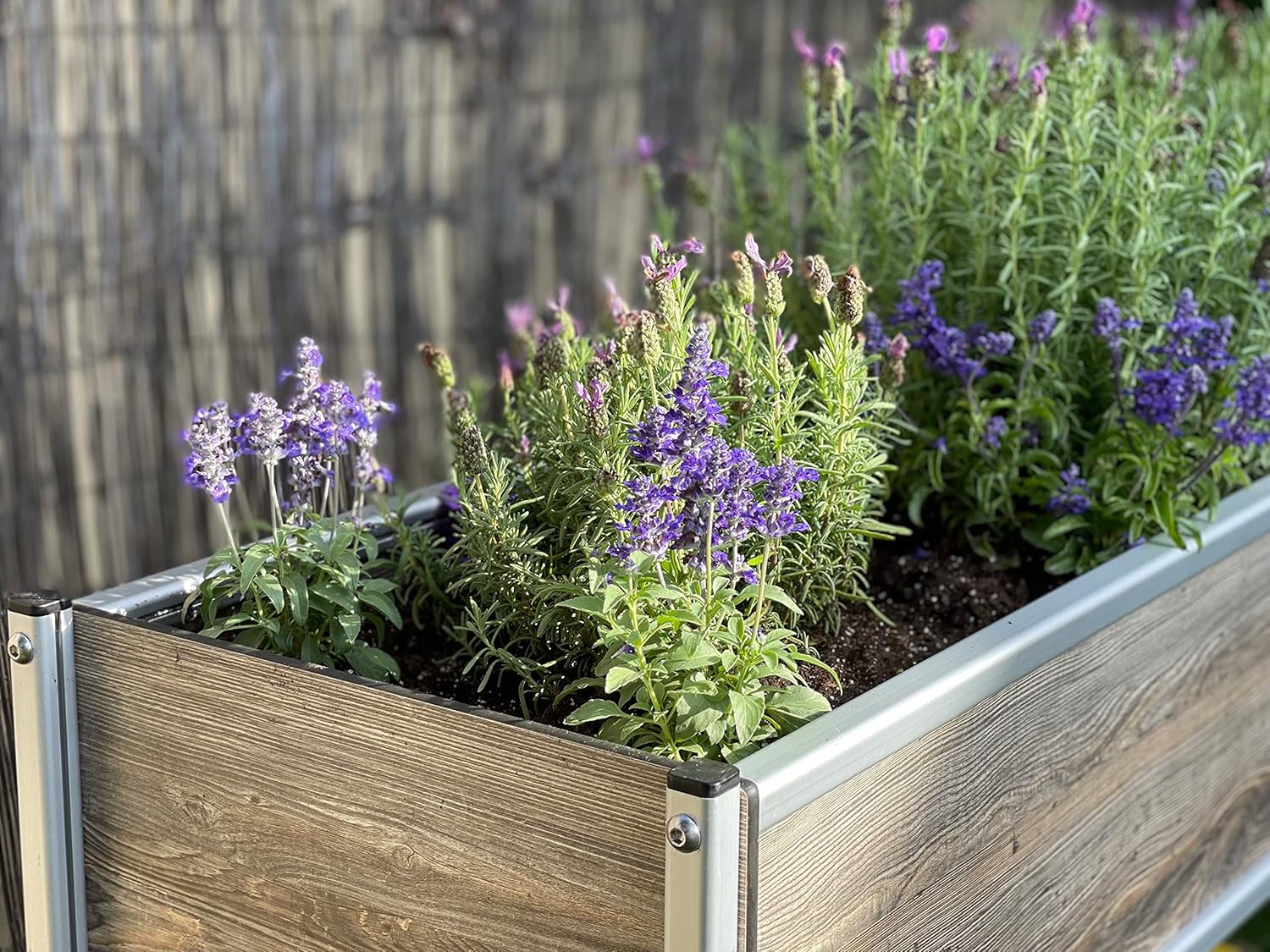Foreman Elevated Planter Box Cart with Wheels - (18” x 48” x 12” Deep on 30” Legs) with Lockable Stainless-Steel Casters (Amaretto Pine)