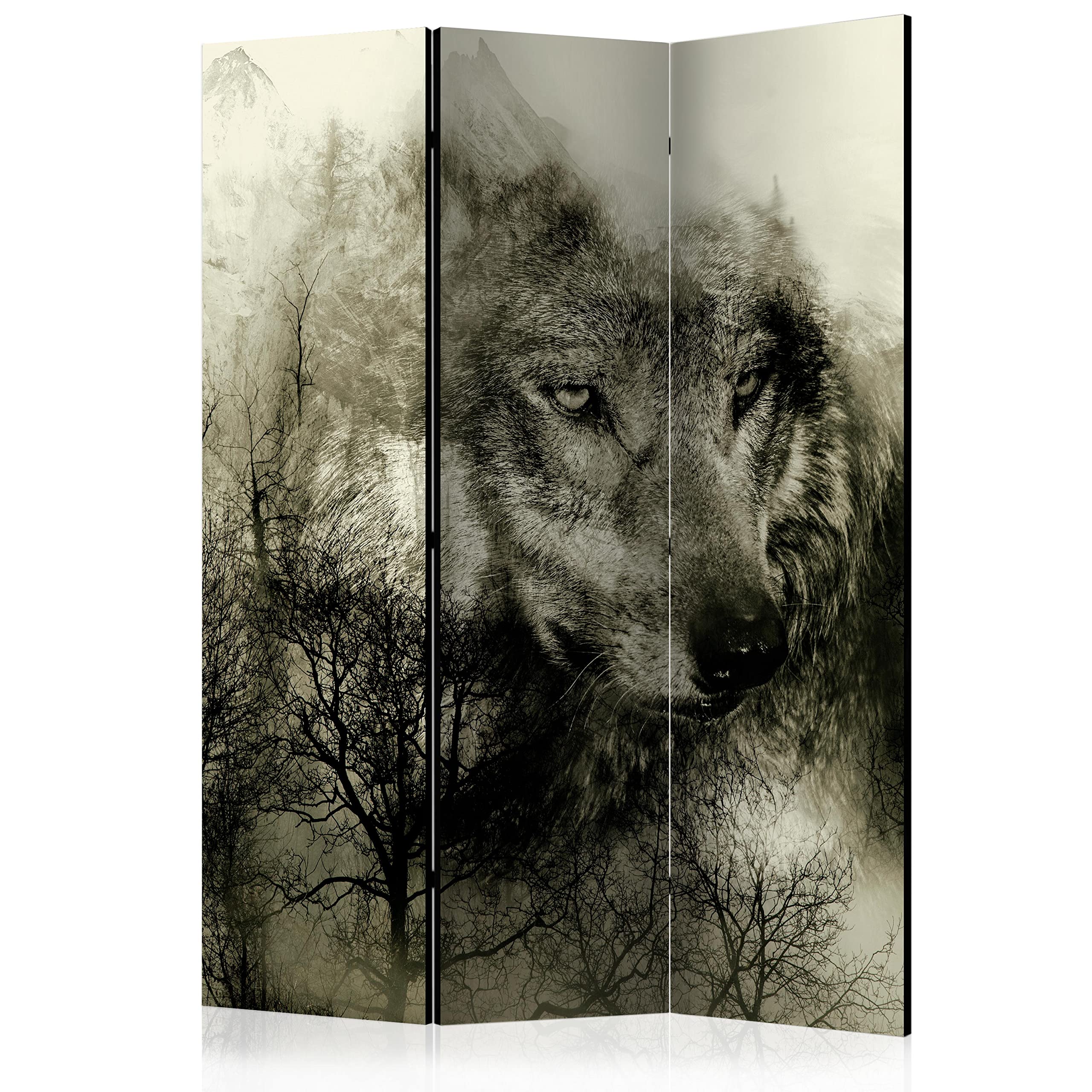 murando - Paravento da Interno 3 Pannelli, Separe Divisorio, 135x172 cm | 3 Pannelli Decorativi, Stampa su Un Lato, Tela in TNT, Pronto all'Uso, Separatore per Camera da Letto, Produzione EU