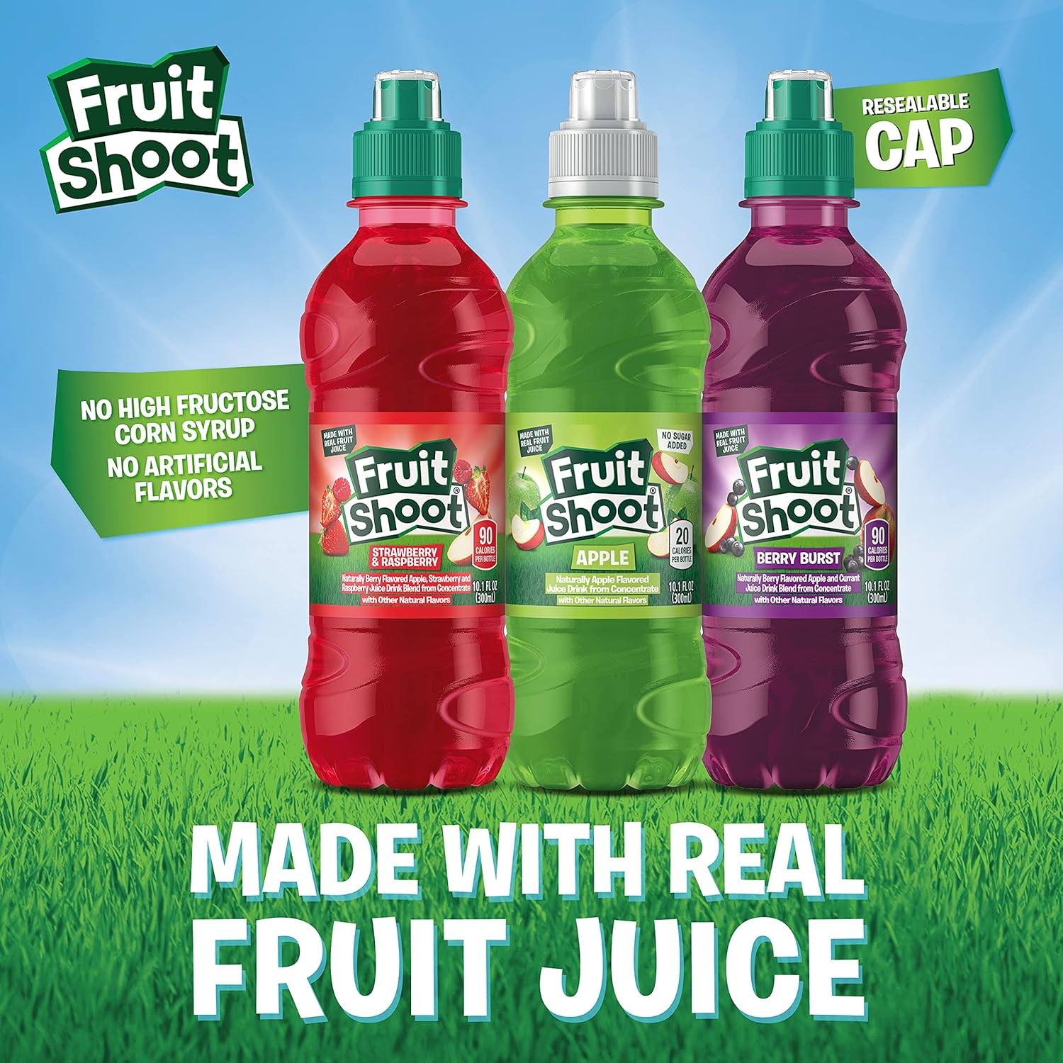FRUIT SHOOT 10.1oz Bottles Pack, Berry Burst, 24 Count : Everything Else