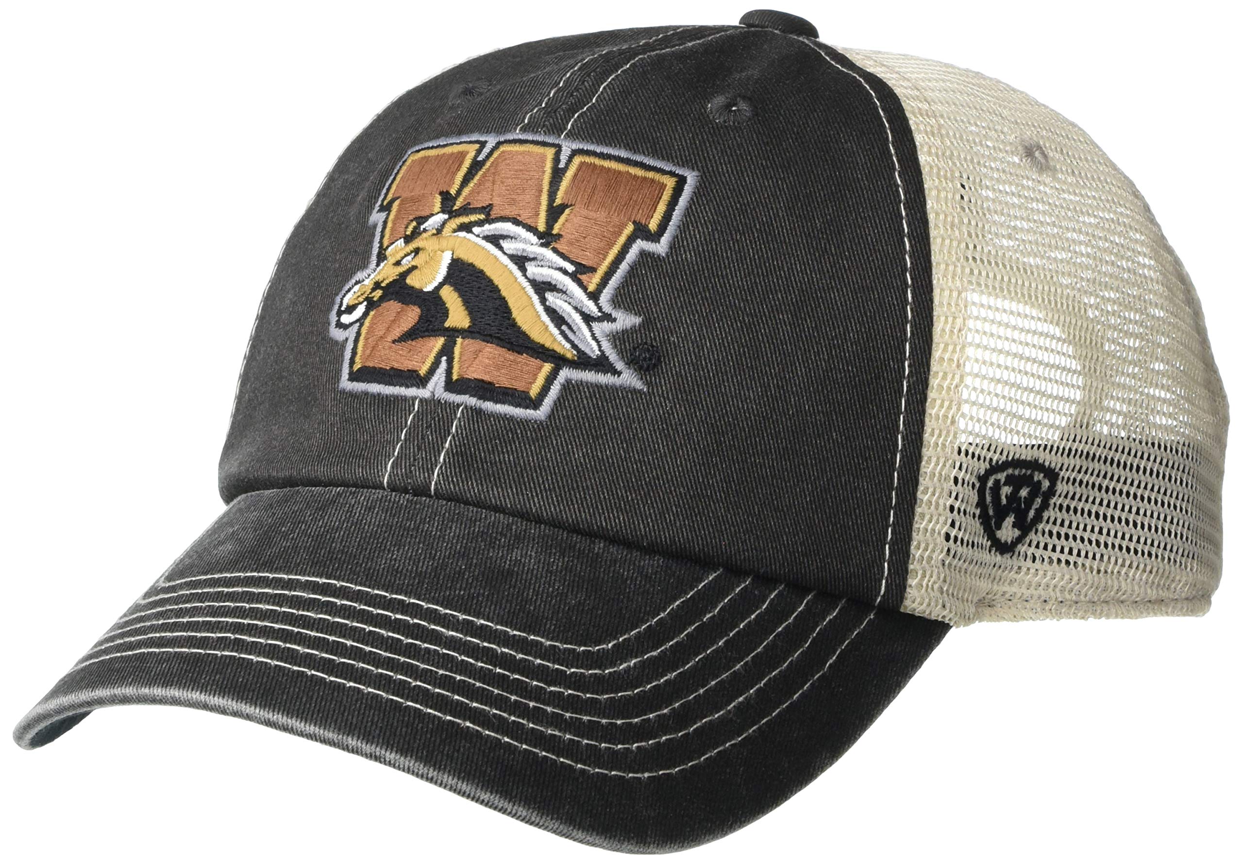 Adjustable Vintage Team Icon Hat 