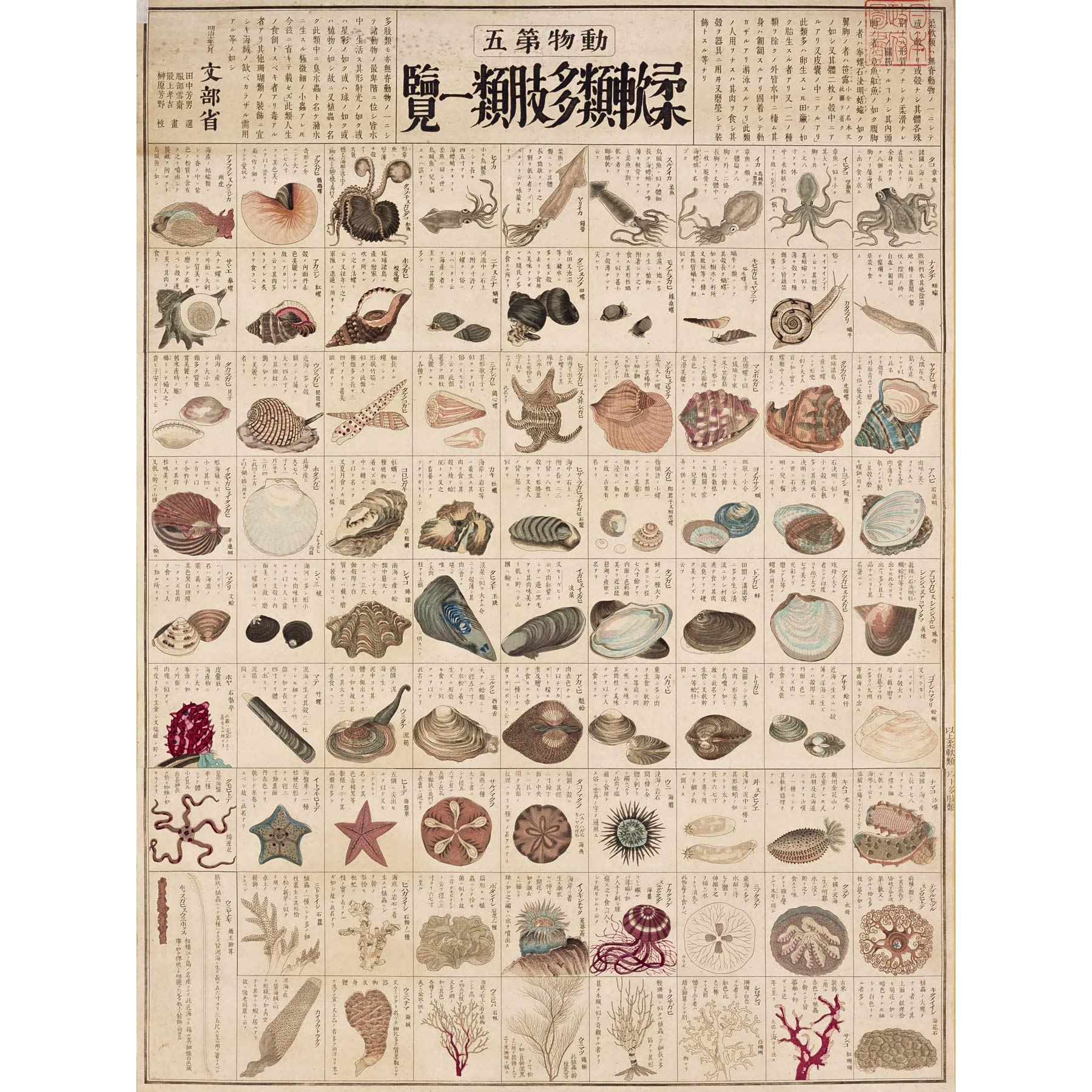 Artery8 Kato Chikusai Species of Sea Life Shellfish Japanese Premium Wall Art Canvas Print 18X24 Inch