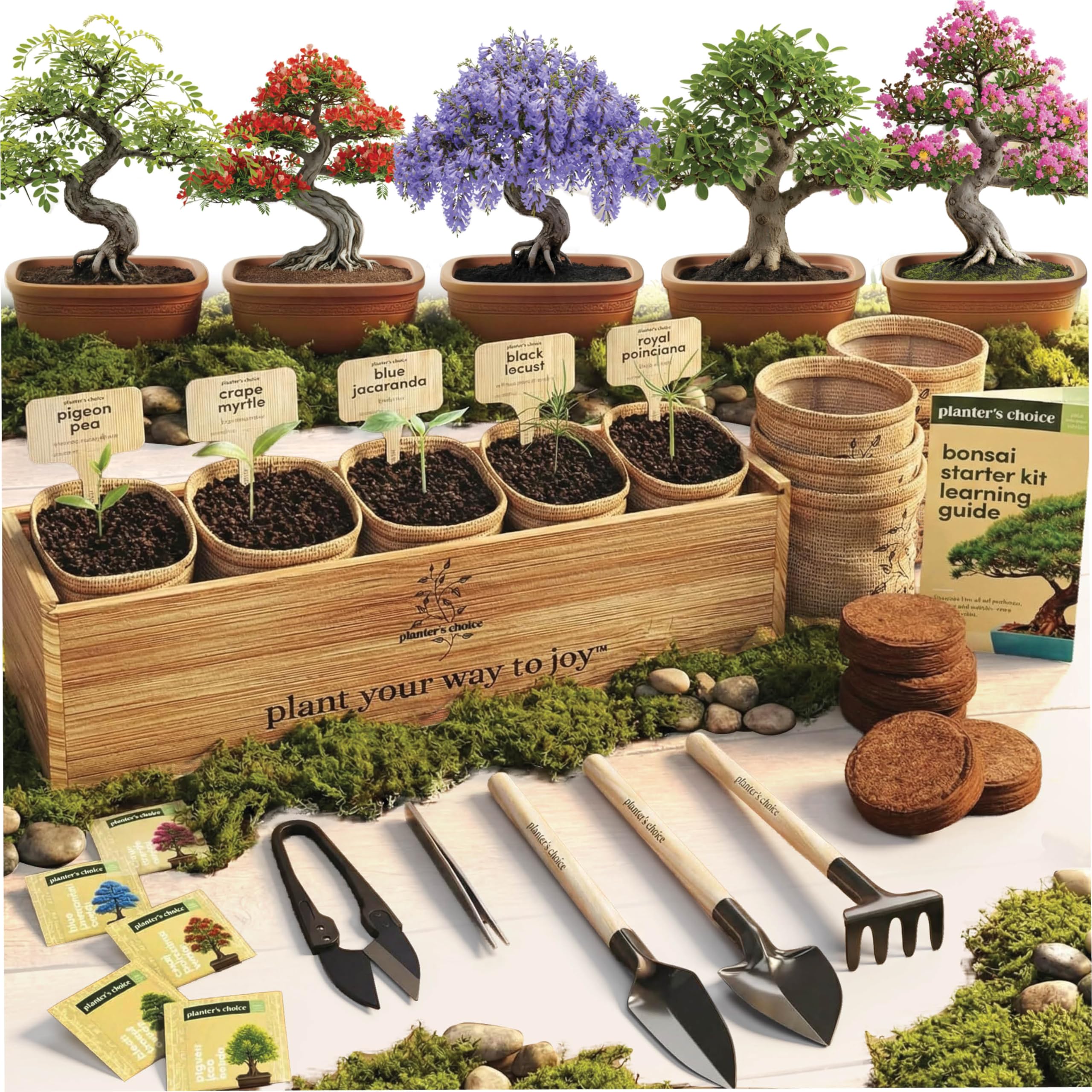 Planter's Choice Bonsai Kit