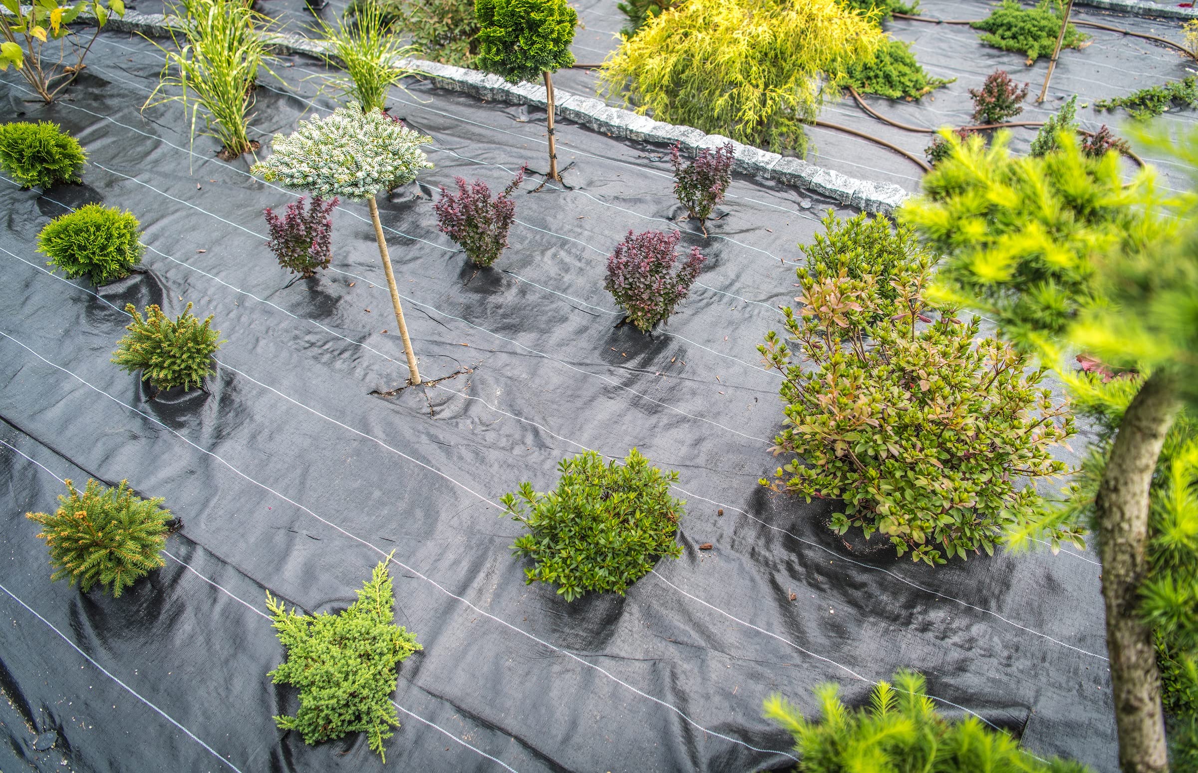 Malla antihierbas - 1'05 x 100 Metros - 105 gr/m2 - Tela Antihierbas Jardin Negra con Cuadros guía - Manta Antihierbas de Plástico para Huerto - Protección UV hasta 5 Años