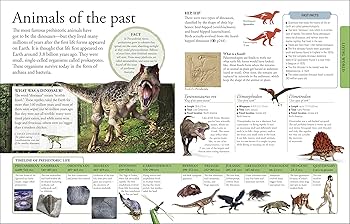 THE CHILDREN’S ENCYCLOPEDIA 618U-yiyxxL._UF350,350_QL50_.jpg