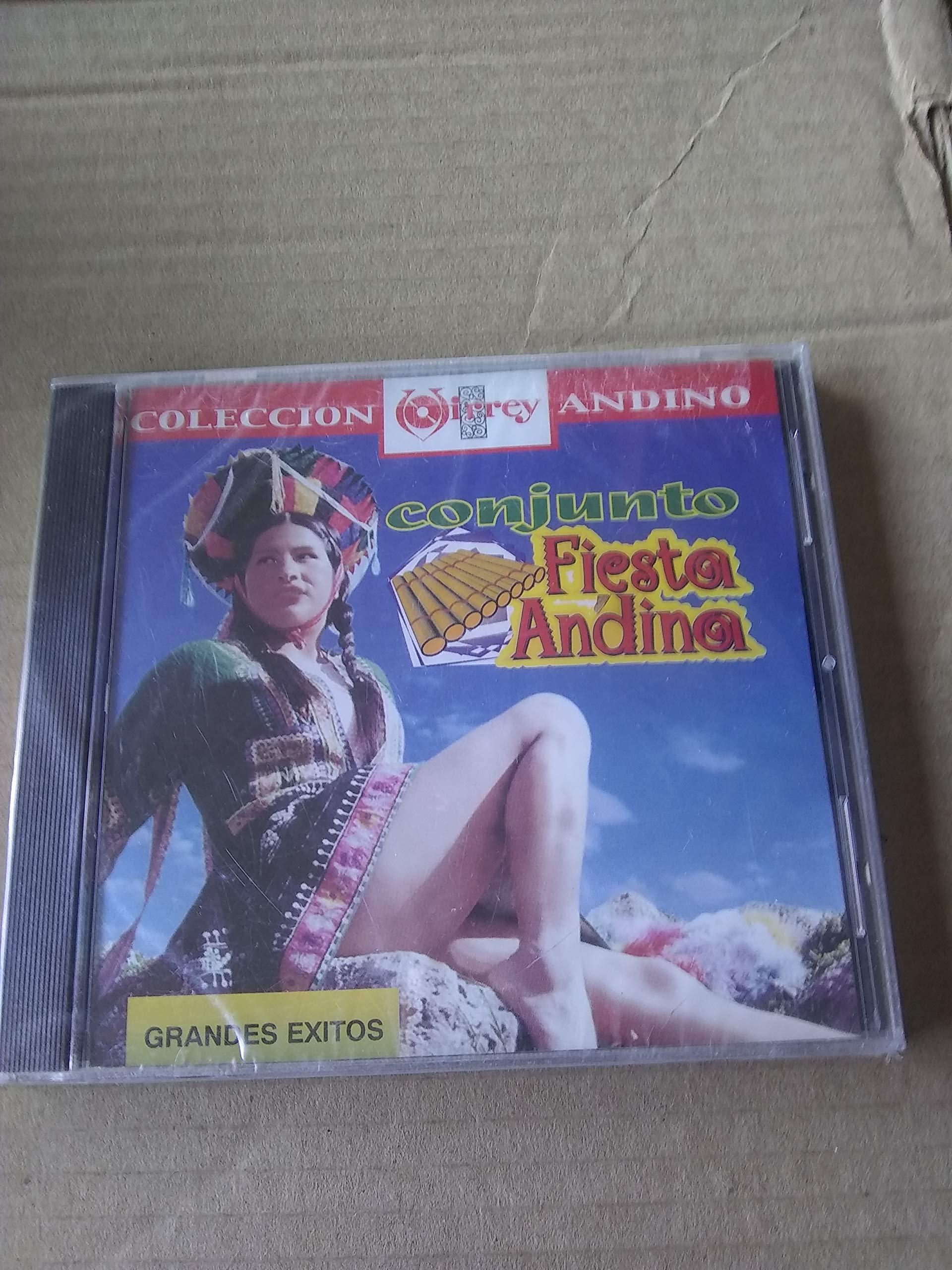 Conjunto Fiesta Andina
