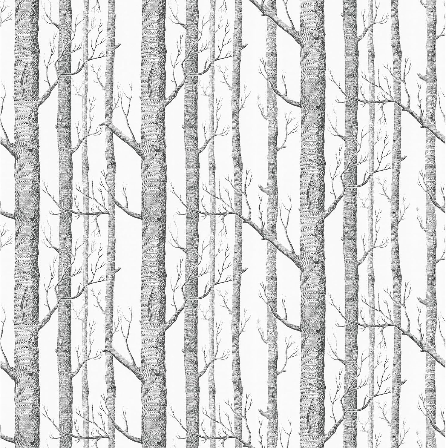 VEELIKE Minimalist Grey Birch Tree Wallpaper Peel and Stick Birch Forest Wallpaper for Bedroom Living Room Farmhouse 17.7''x354'' Self Adhesive Removable Woodland Tree Wall Mural for Bathroom Nursery