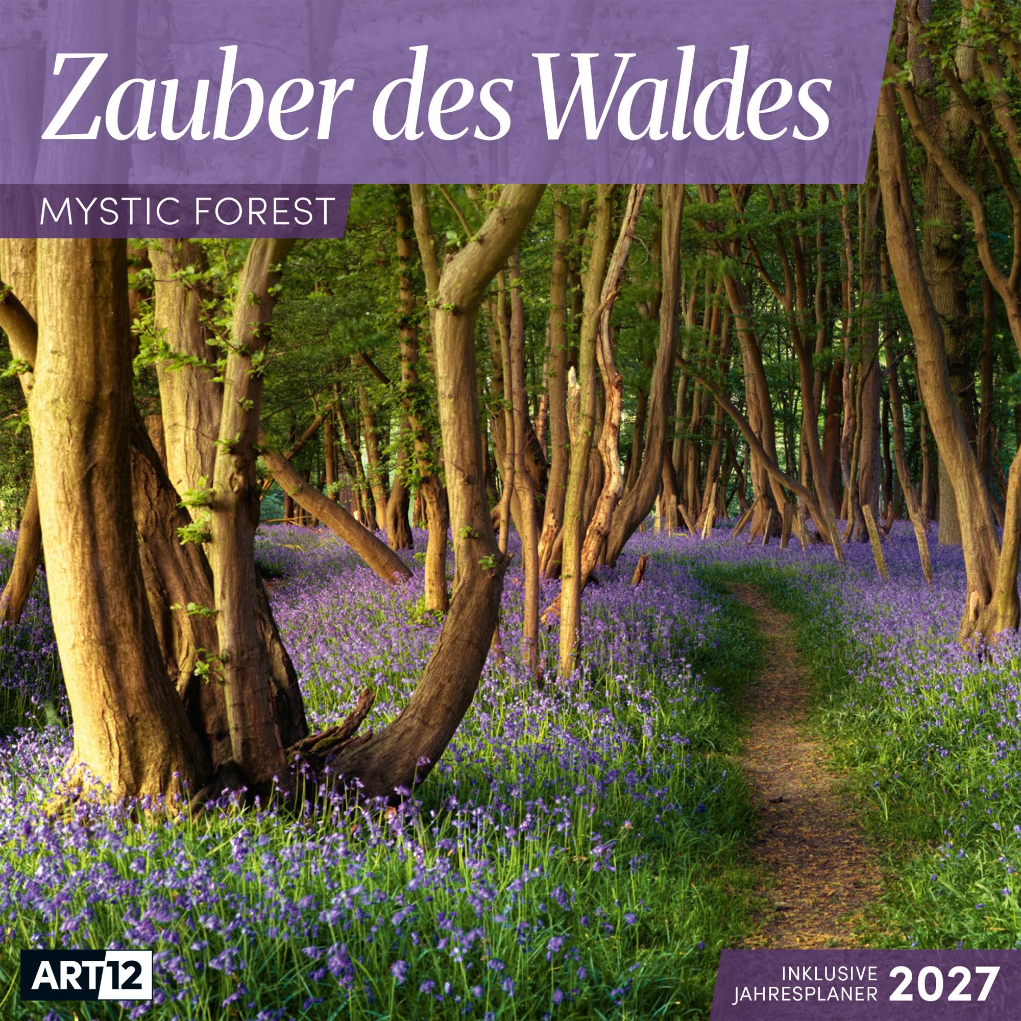 Zauber des Waldes Kalender 2027 - 30x30 - Art12: Stilsicherer Wald-Kalender im schlanken Hochformat (aufgeklappt 30x60 cm) | zum Eintragen