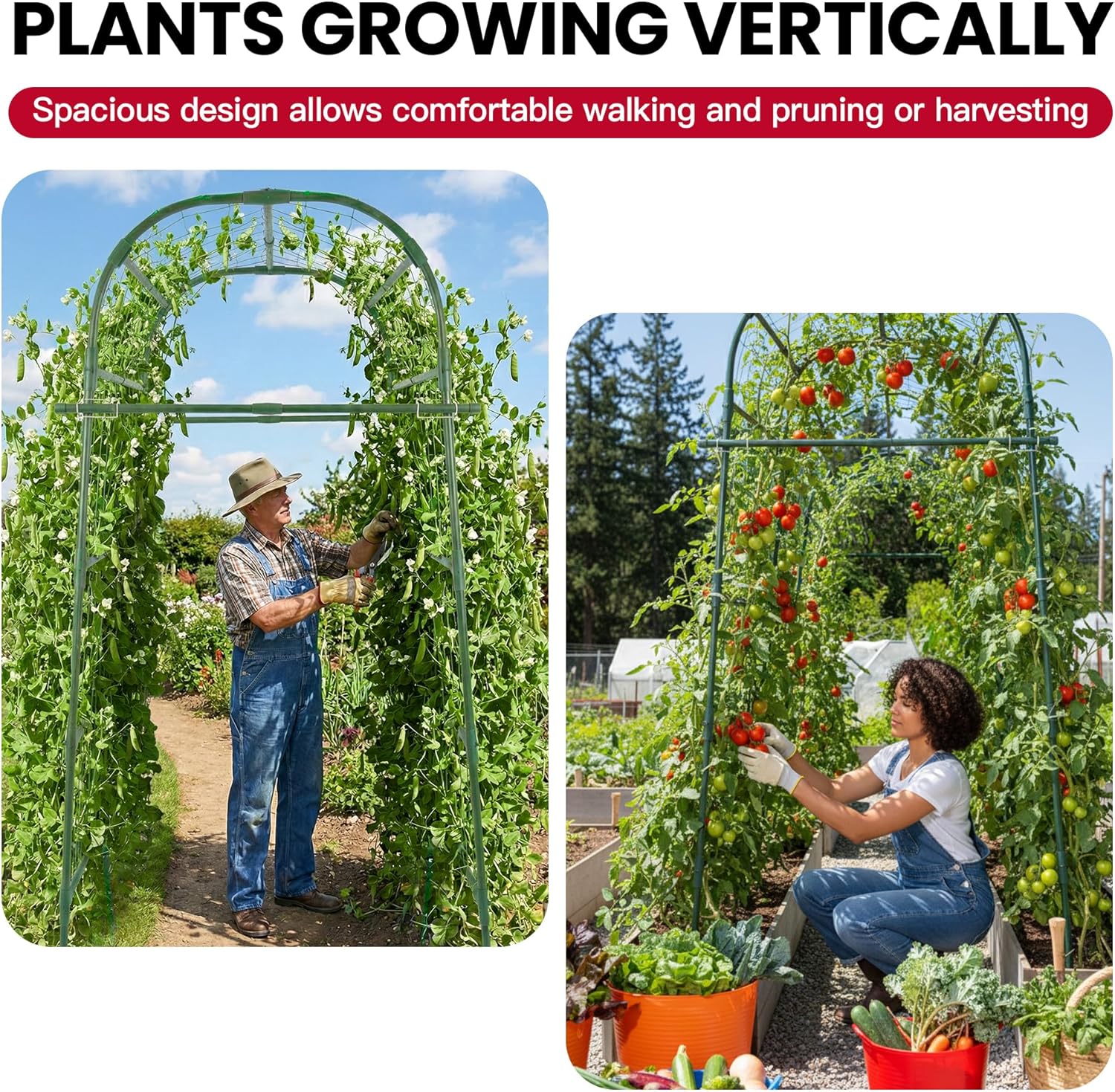 Garden Arch Trellis for Climbing Plants Outdoor, 7 Ft Tall Cucumber Trellis for Raised Bed, Metal Archway Arbor Trellis Support for Vegetables Beans Squash Peas Grape Vines Flowers