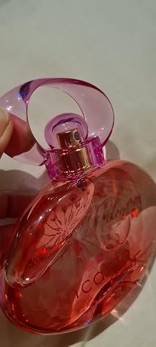 Amazon | SALVATORE FERRAGAMO 【フェラガモ】インカント ニュー