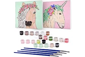 CRAFTBARN Paint by Numbers for Kids