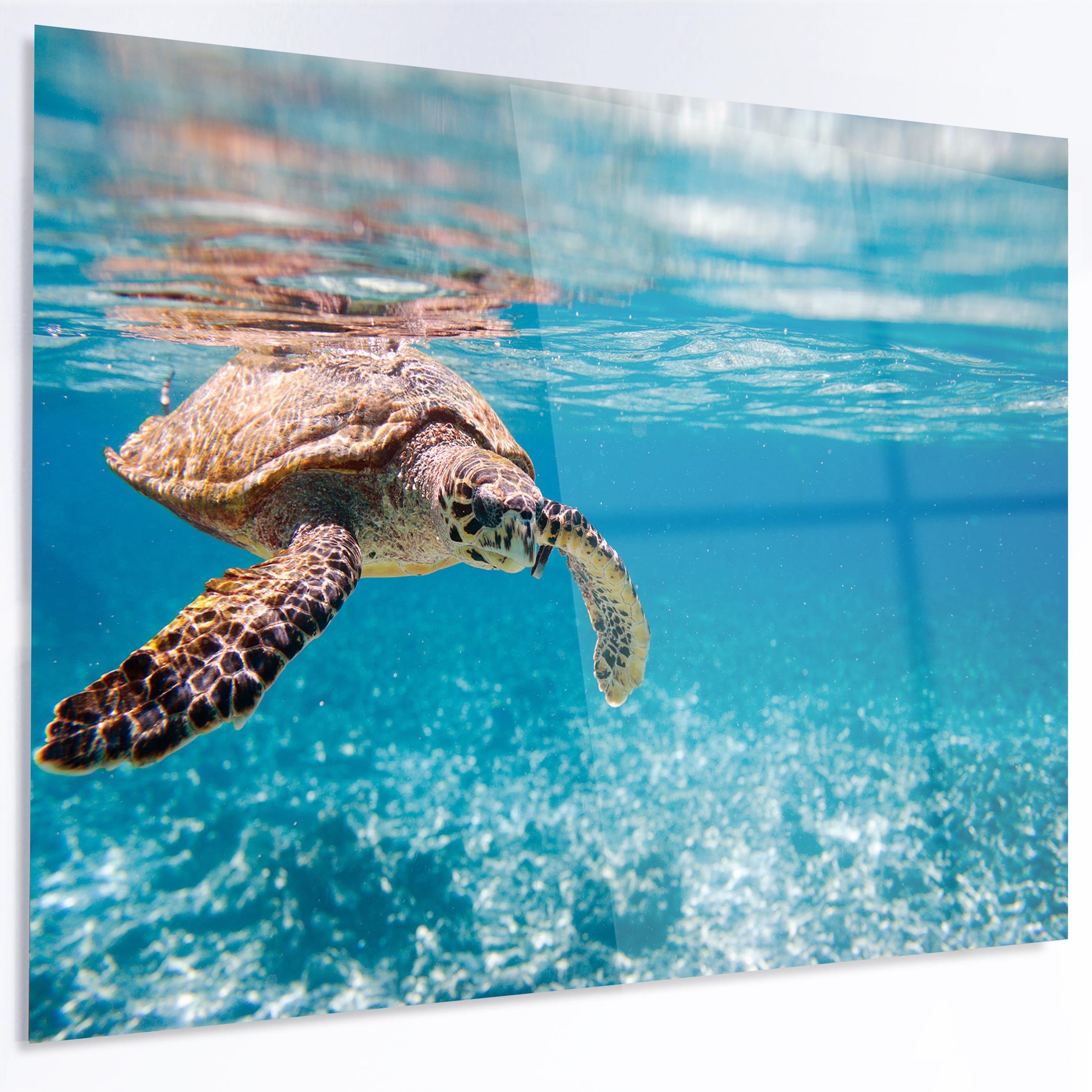 Designart MT13263-40-30 Large Hawksbill Sea Turtle - Animal Metal