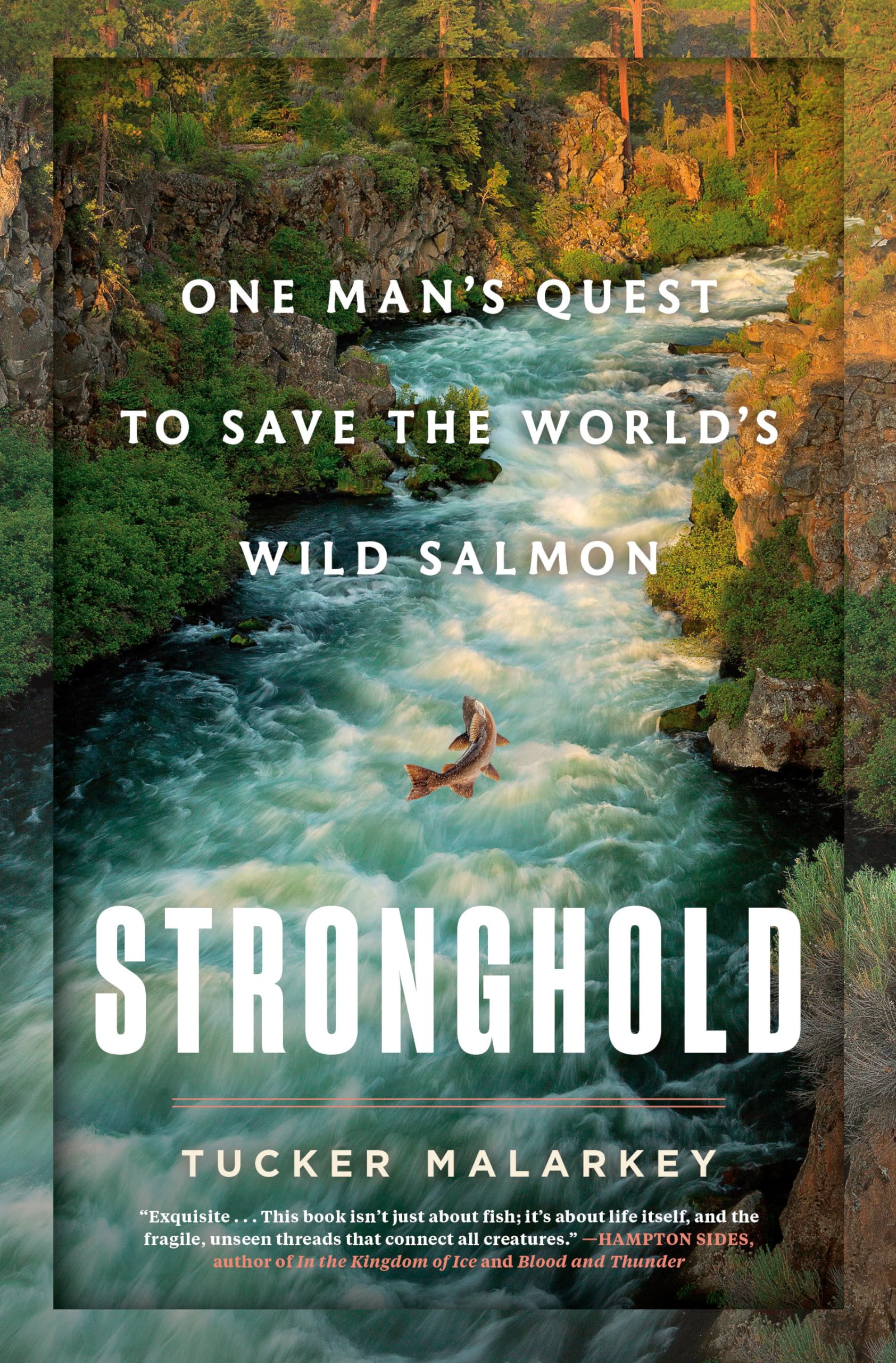 Stronghold: One Man's Quest to Save the World's Wild Salmon cover