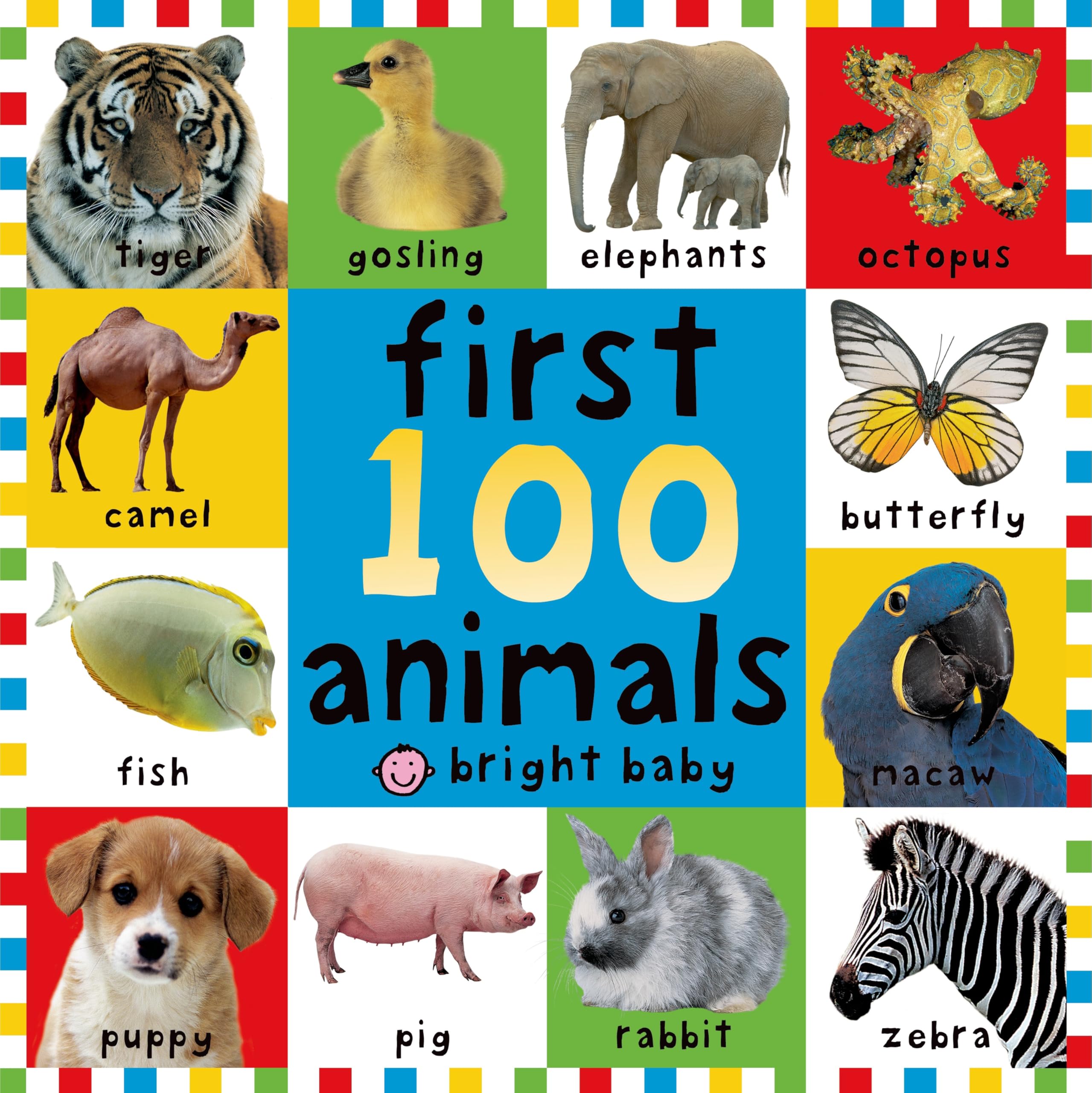 First 100 Big Board: Animals: In the bestselling First 100 series