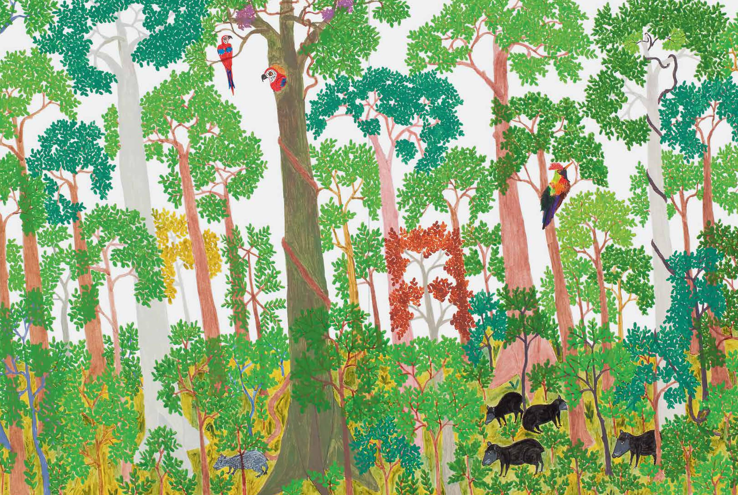 Abel Rodríguez (Mogaje Guihu): The Tree of Life and Abundance