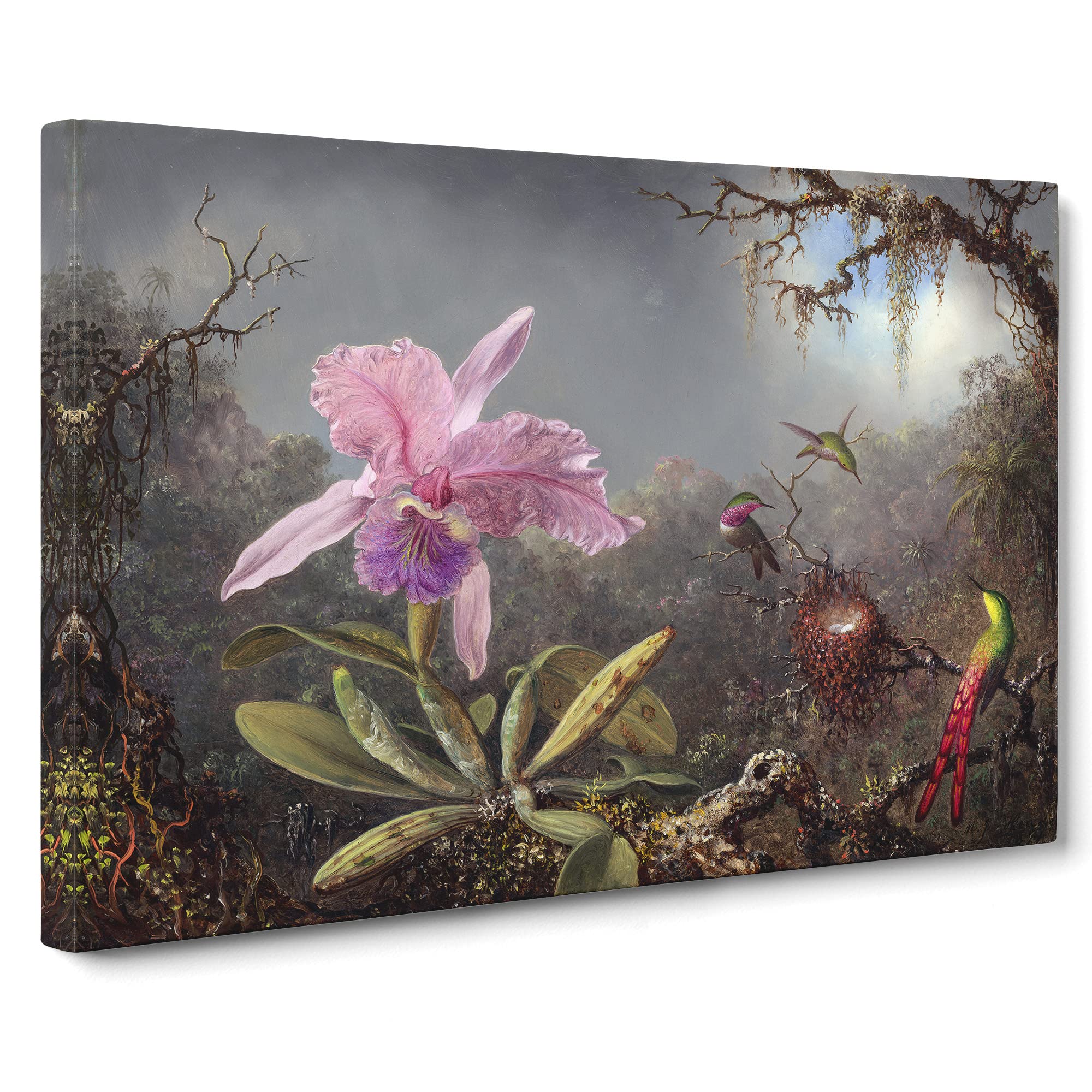 Cattleya Orchid And Hummingbirds By Martin Johnson Heade Canvas Print, Mixed, 25L x 50W cm