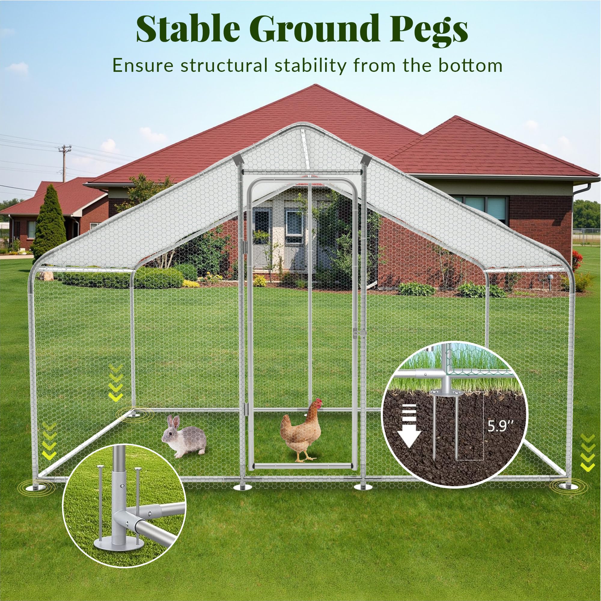 山採りコハウチワ&ヤマモミジ1 H210cm W70cm 楽天市場】マルカン ワイドビューミニ 黒 (飼育ケース) 【 虫