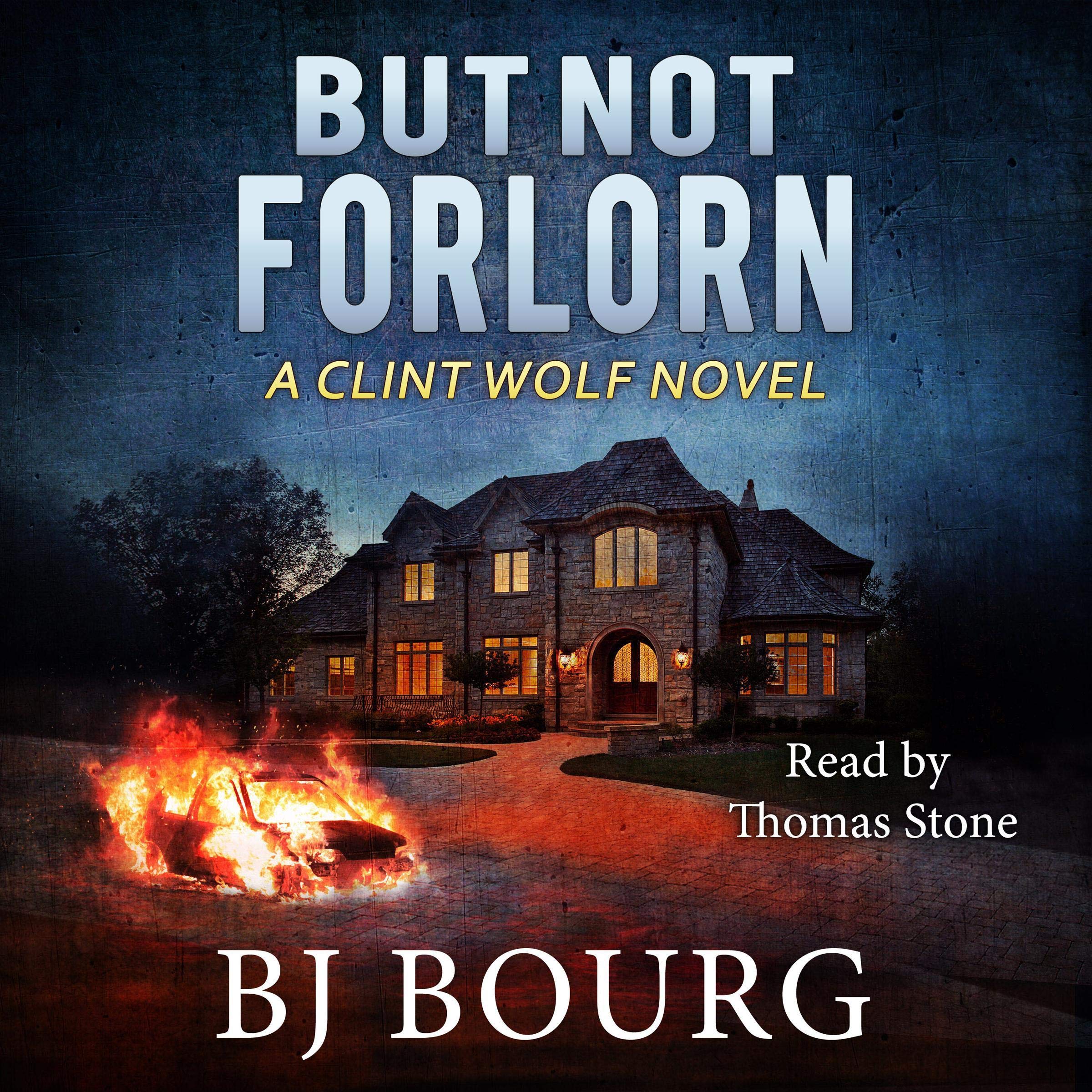 Cover art for But Not Forlorn: A Clint Wolf Novel