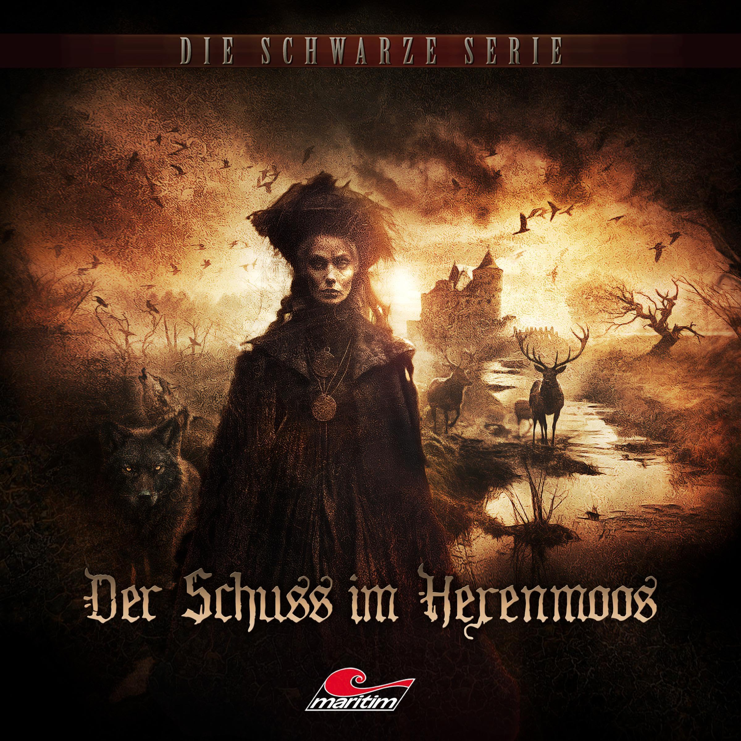Cover art for Der Schuss im Hexenmoos
