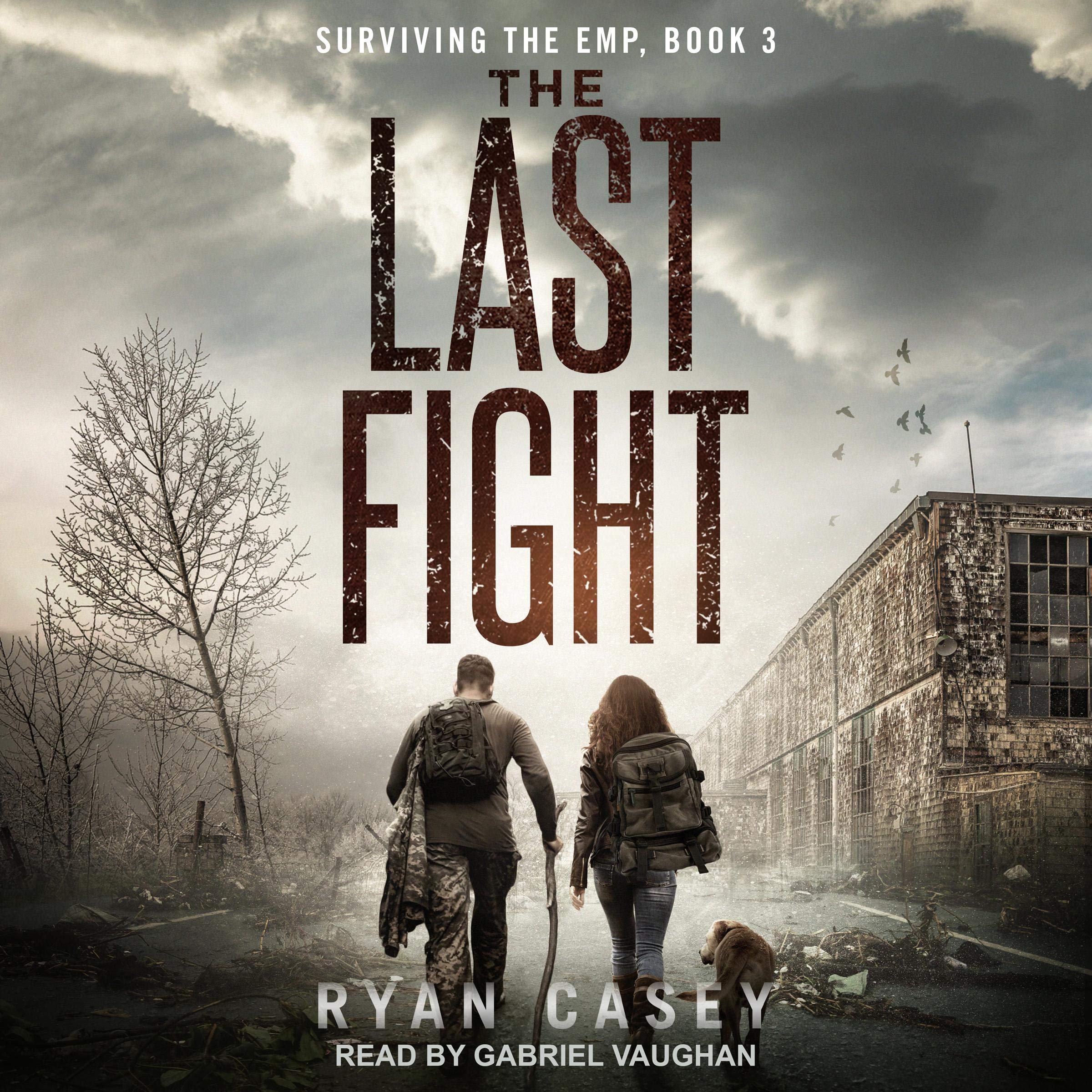 Cover art for The Last Fight