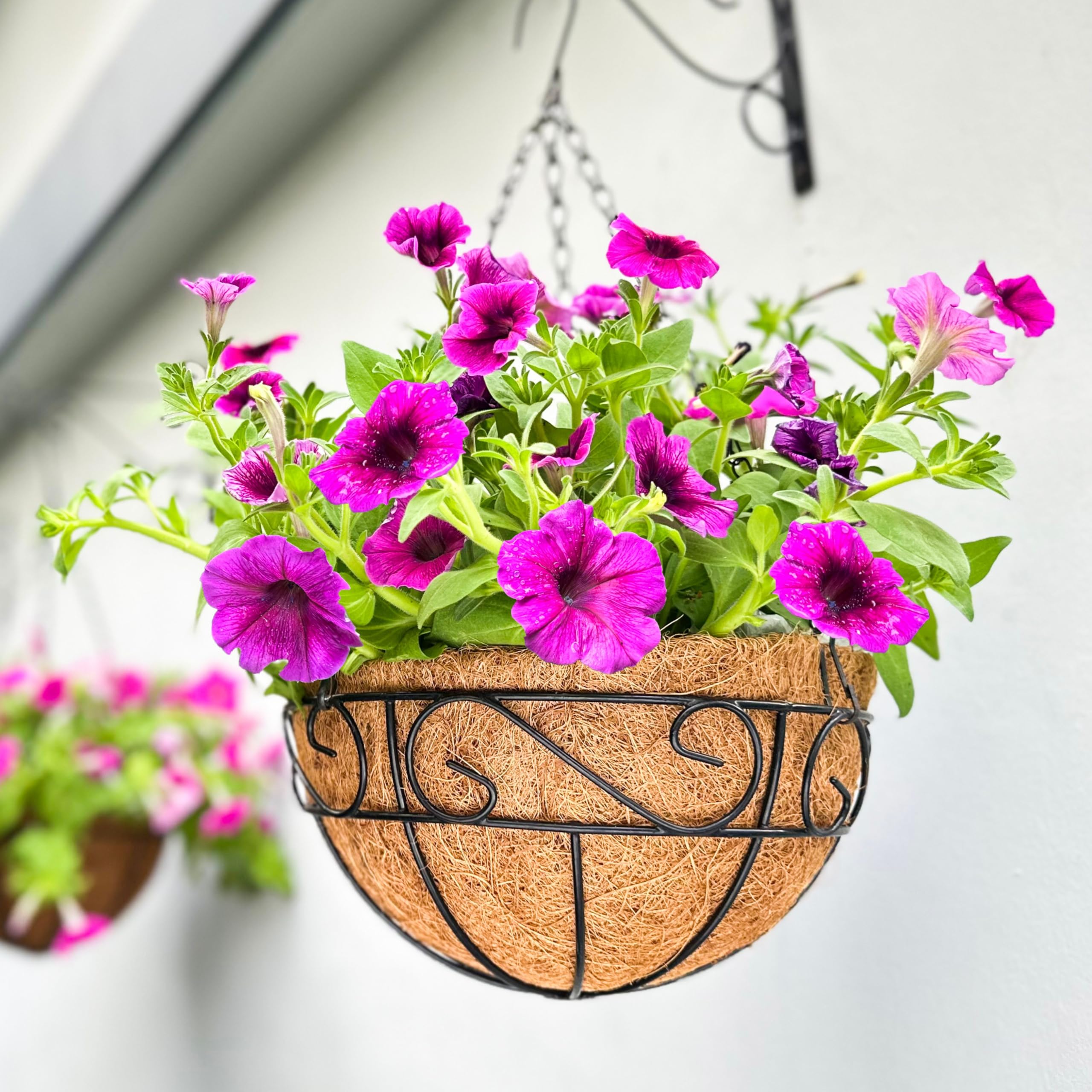 LáLáGreen 20 Inch Hanging Basket