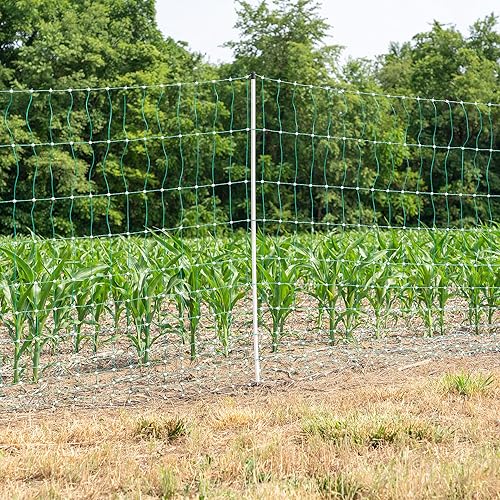 Miniatura 3 de Deerbusters Red eléctrica para aves de corral de 48 pulgadas de alto, 12483, verde (rollo de 164 pies)