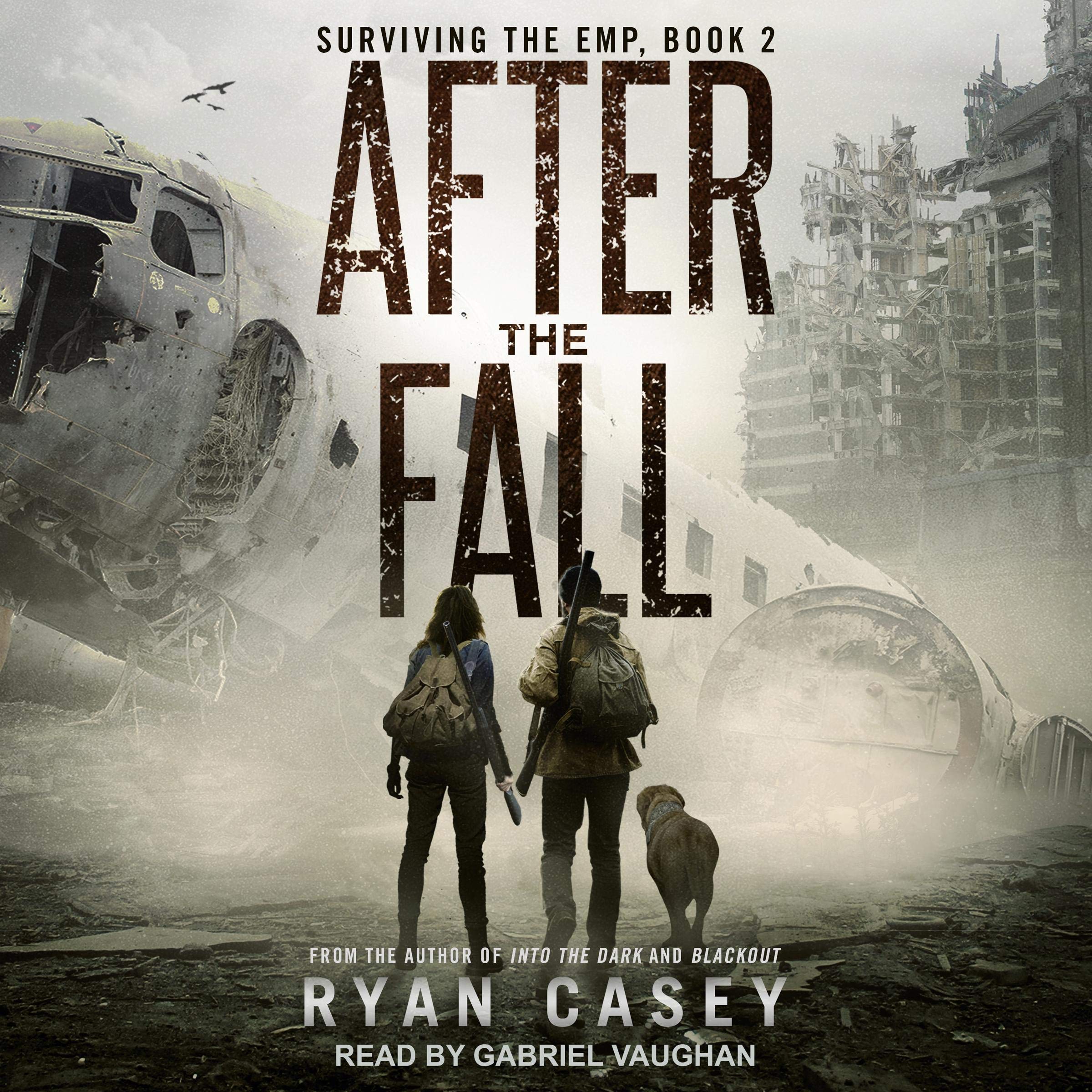 Cover art for After the Fall