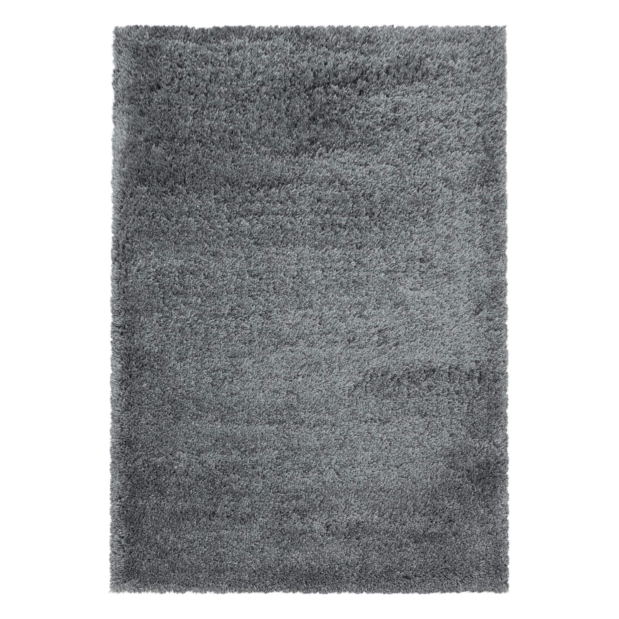 Carpetsale24 Tapis à Poils Longs, Couleur Gris Clair, Unicolor - Monochrome, 107606, Tapis Rectangle, Tapis Salon-Salle à Manger ou Chambre, 120 x 170 cm