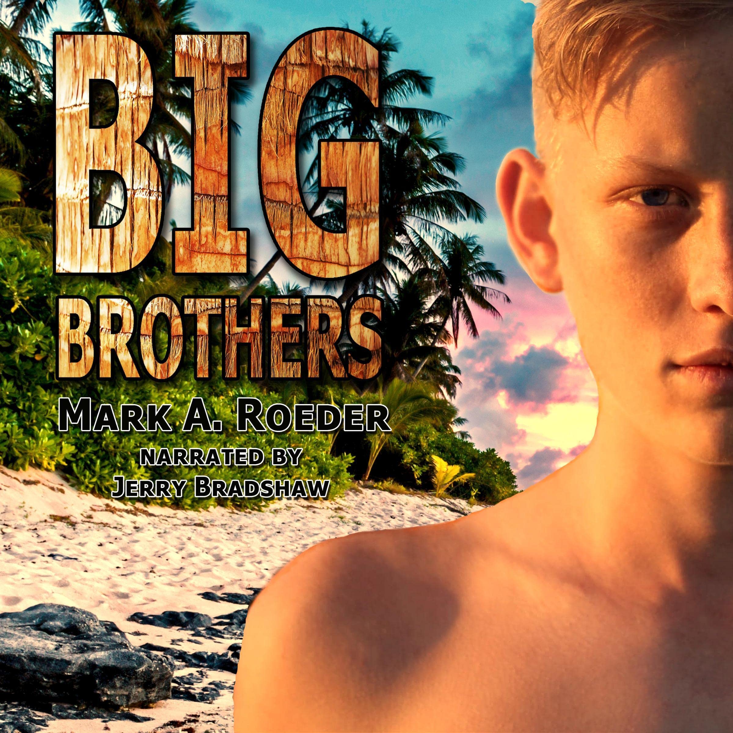 Cover art for Big Brothers